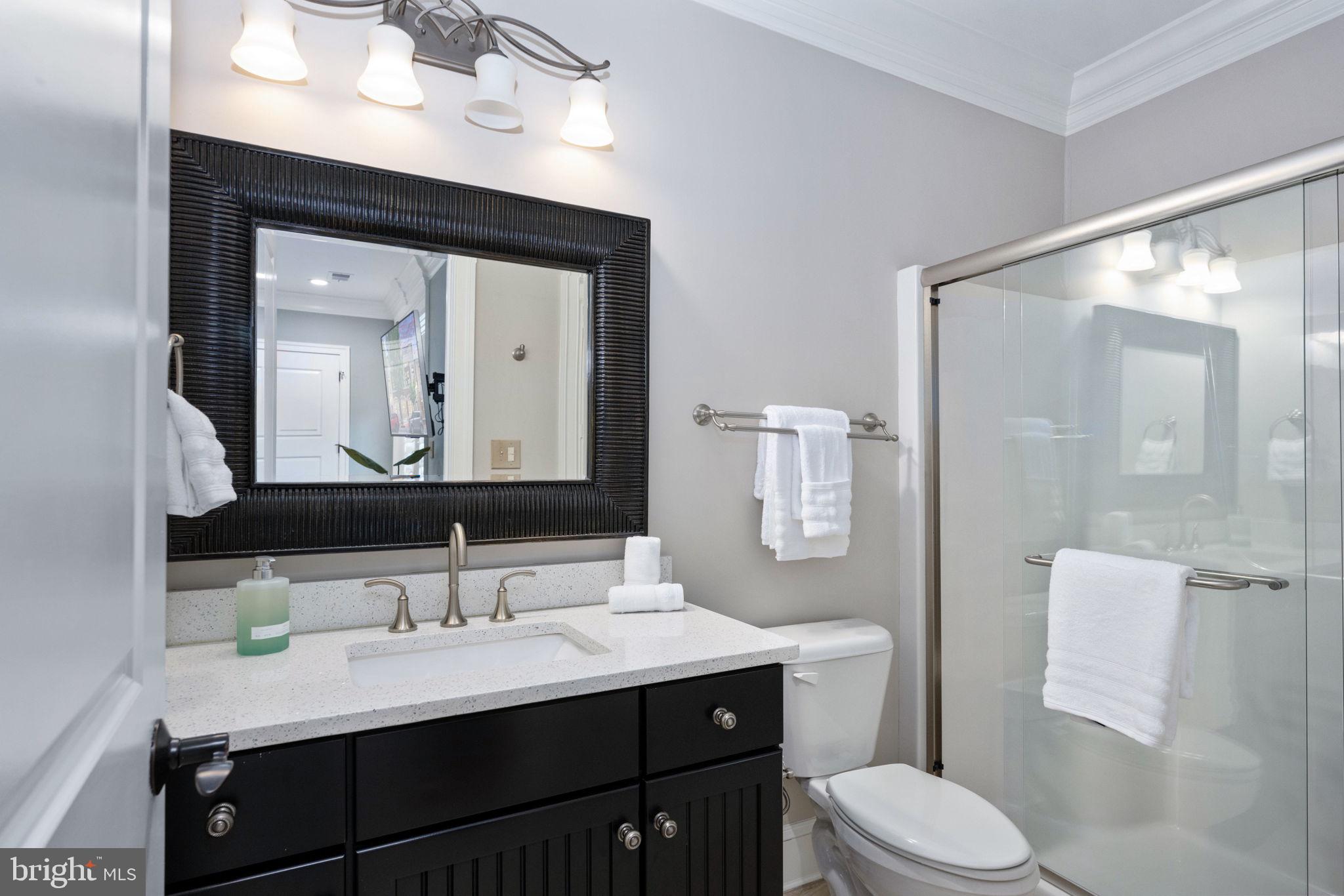 DOWNTOWN FREDERICKSBURG - Residential