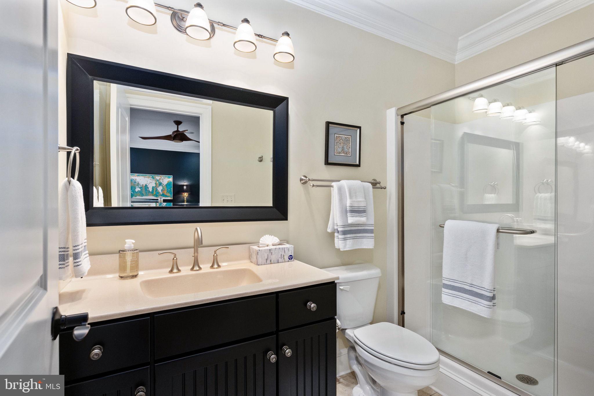 DOWNTOWN FREDERICKSBURG - Residential