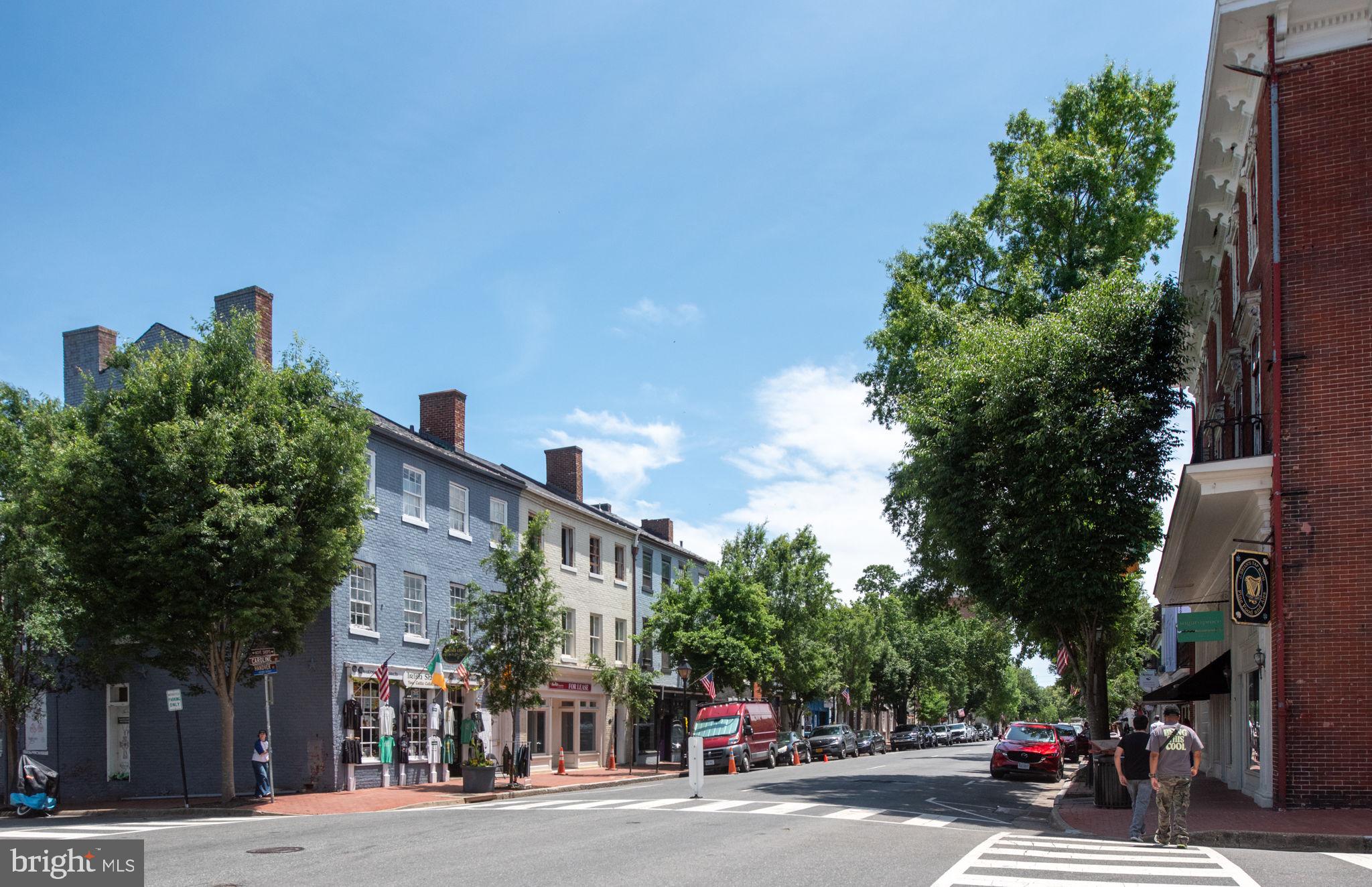 DOWNTOWN FREDERICKSBURG - Residential