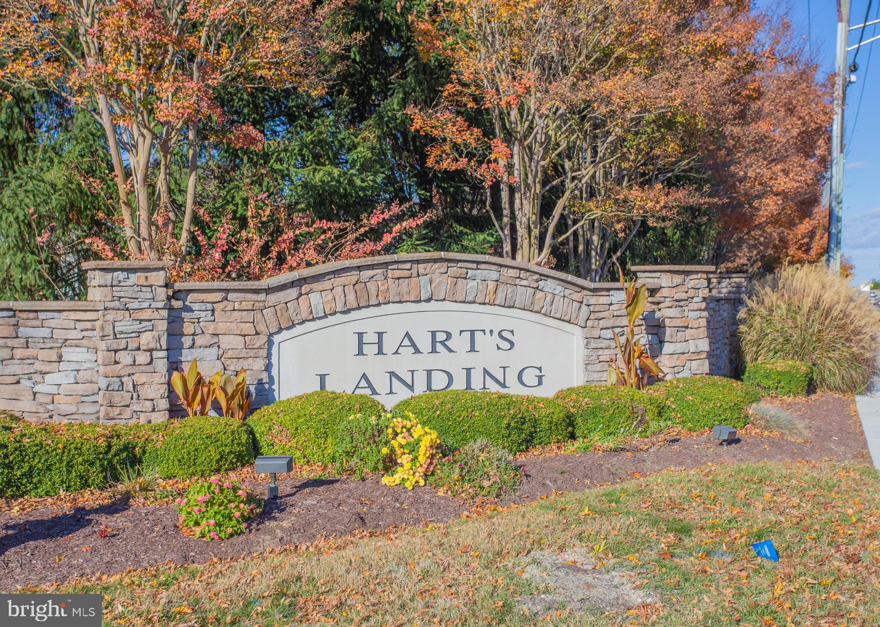 20576 ANNONDELL DRIVE