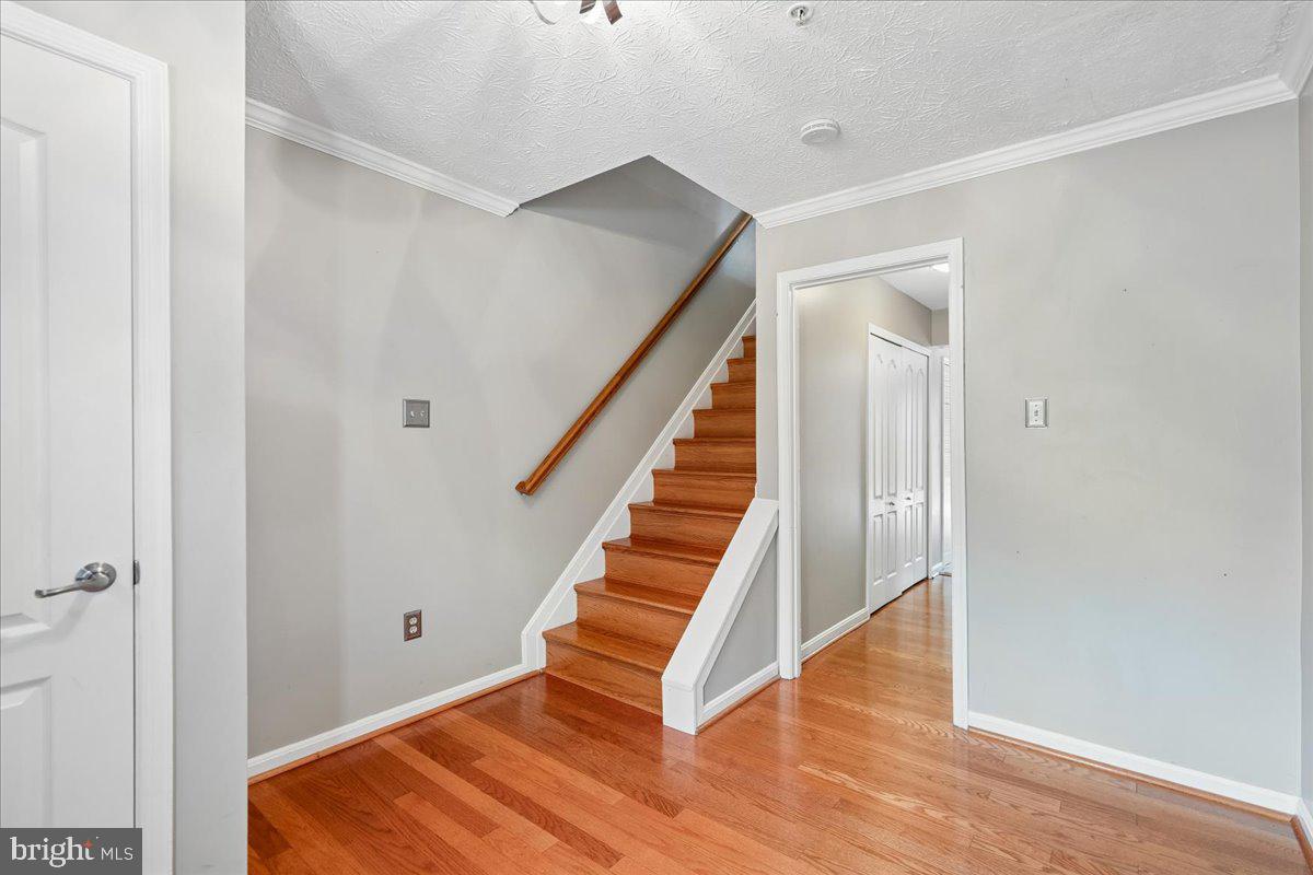 3707 ELKHORN CIRCLE