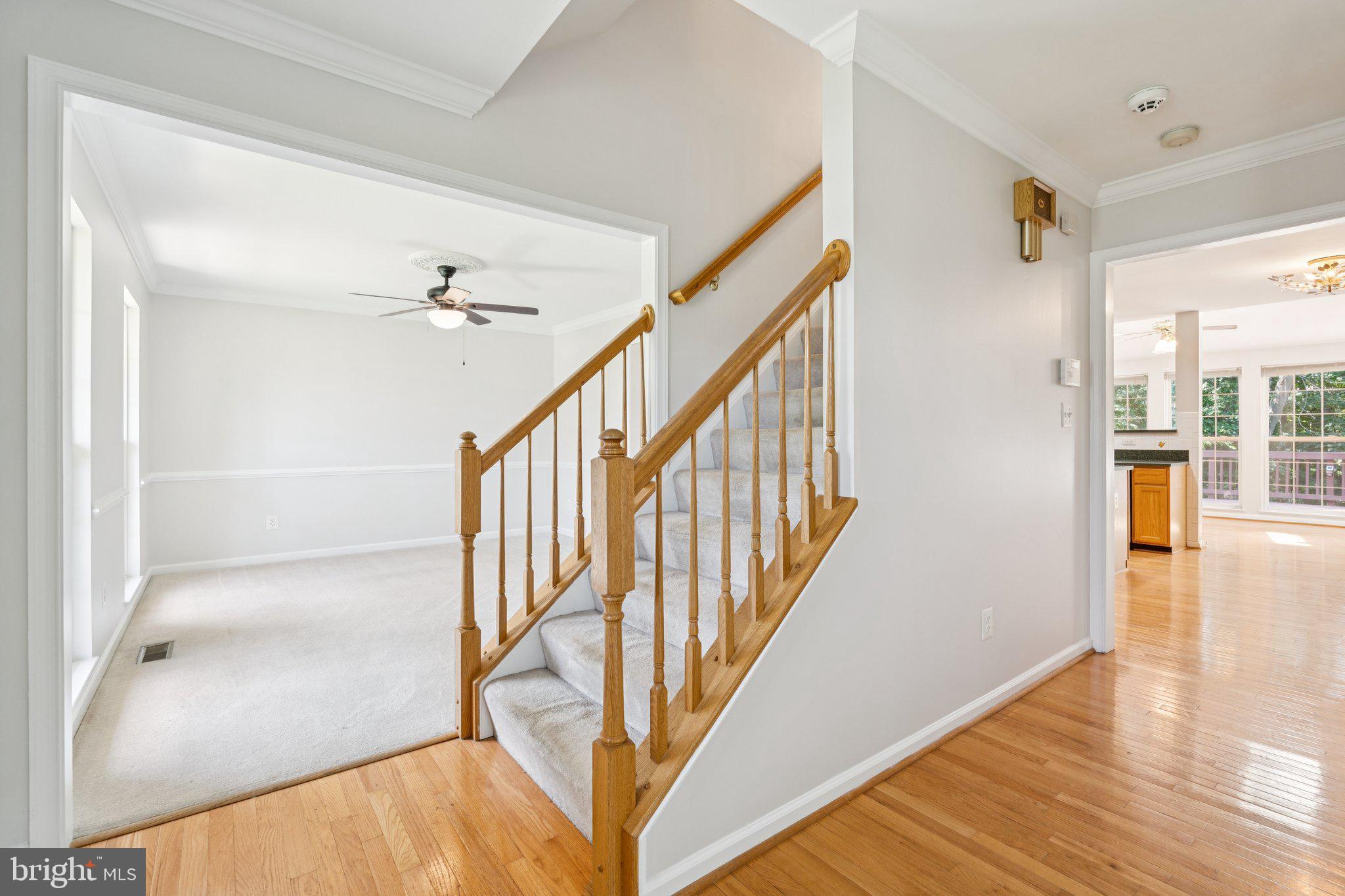 15344 BALD EAGLE LANE