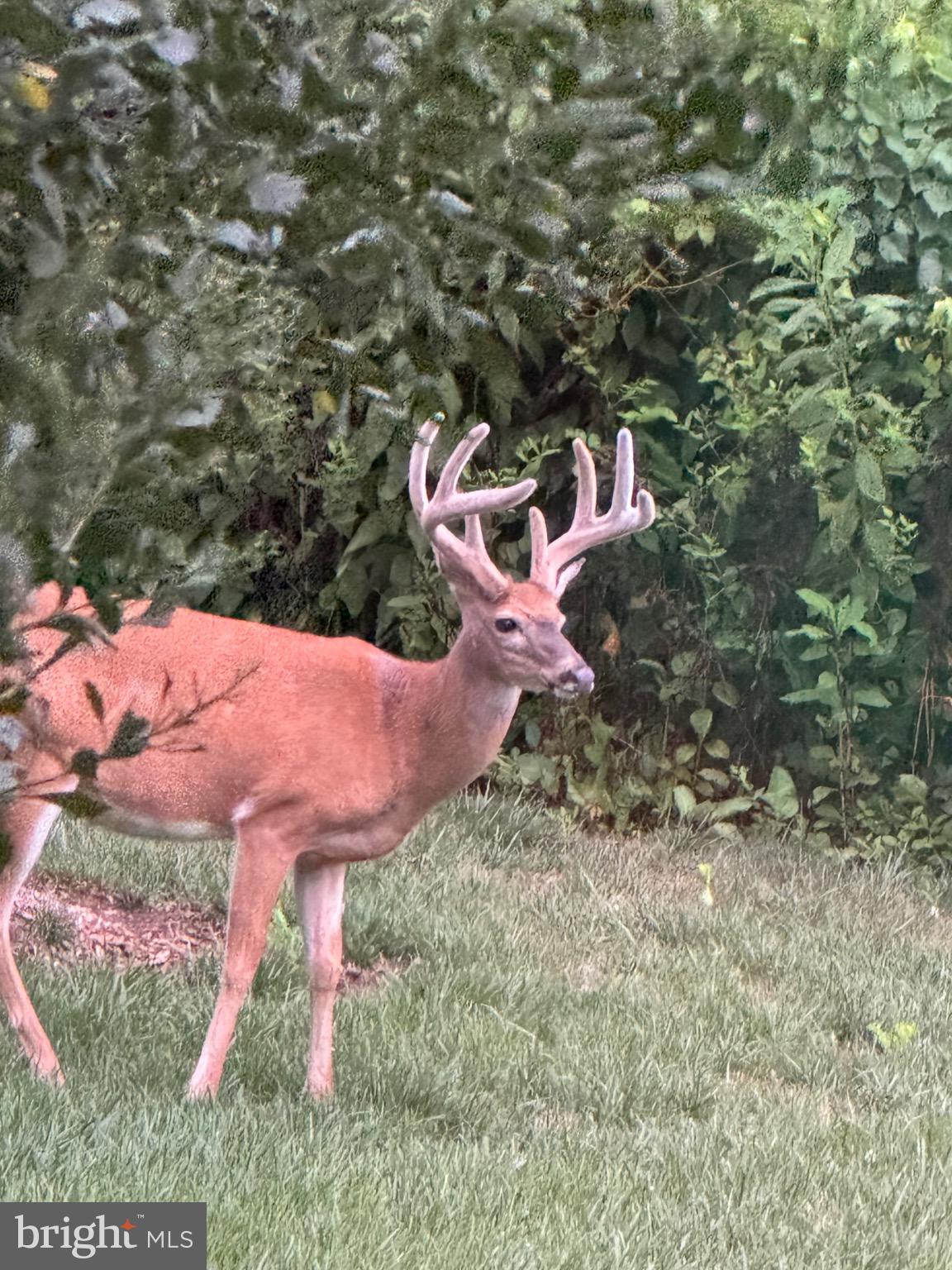 QUEENSTOWN HARBOR - Residential