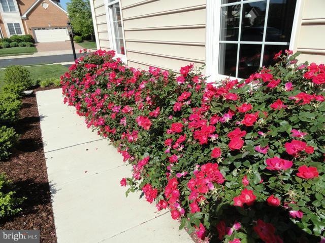 LOUDOUN VALLEY ESTATES - Residential