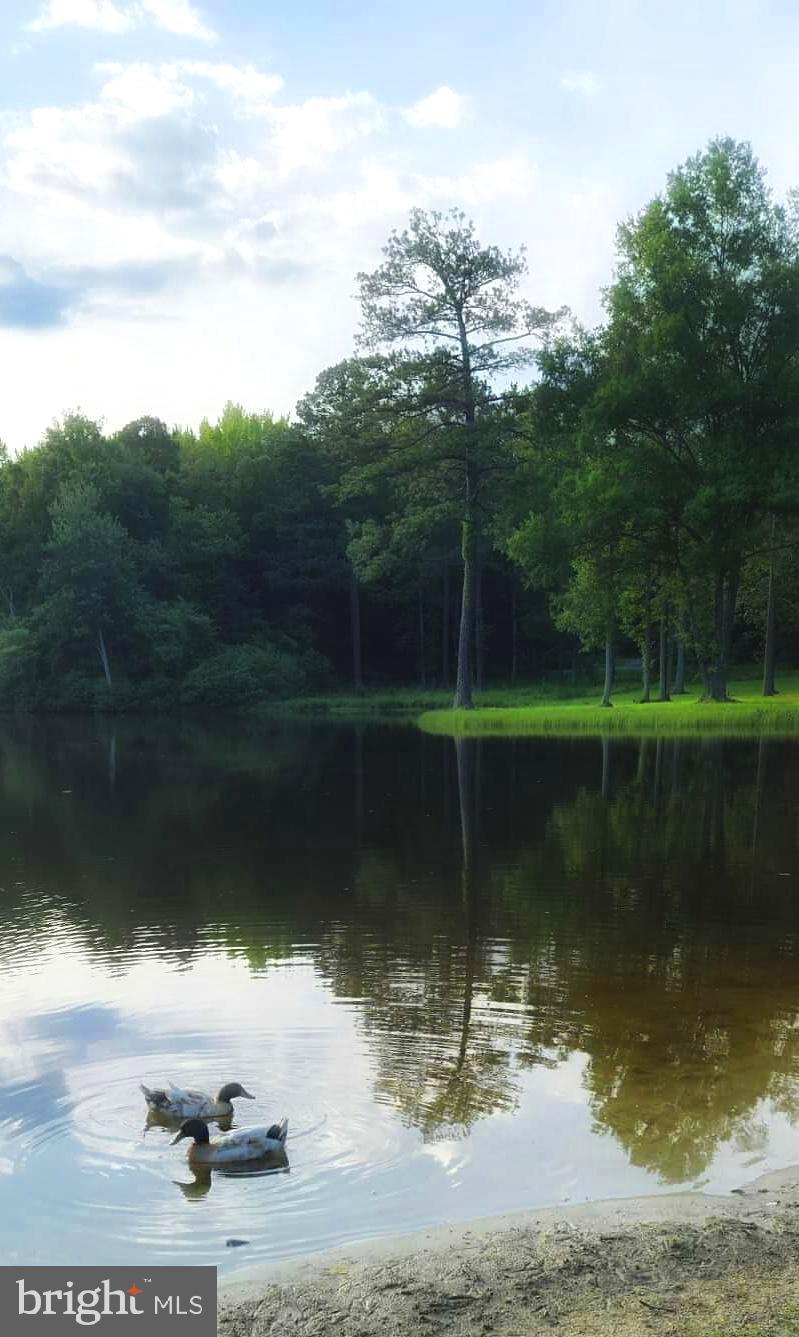 CAROLINE PINES - Residential