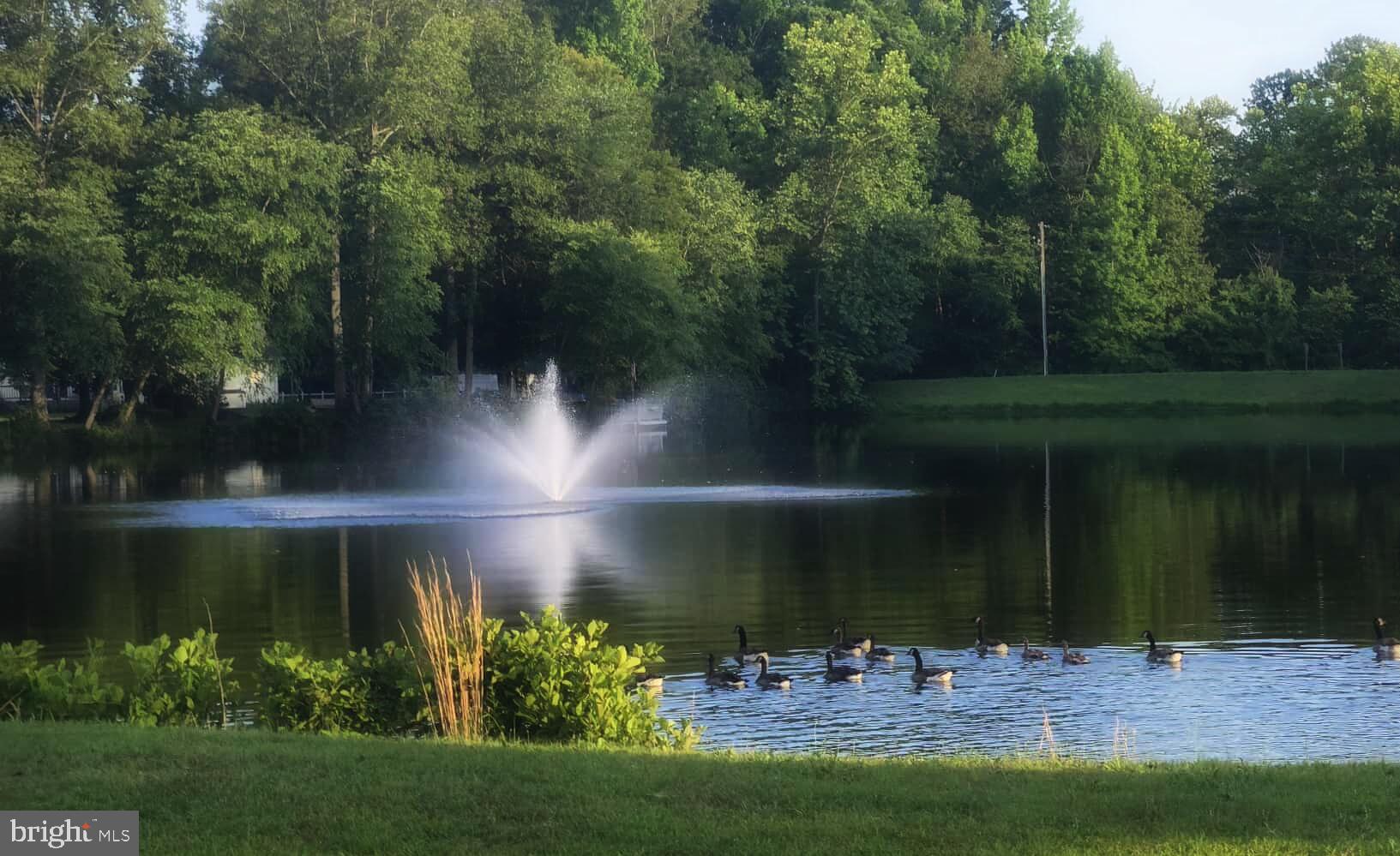 CAROLINE PINES - Residential