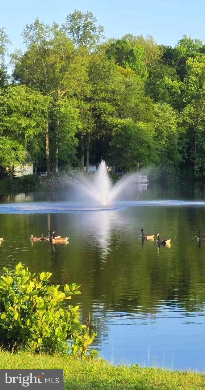 CAROLINE PINES - Residential