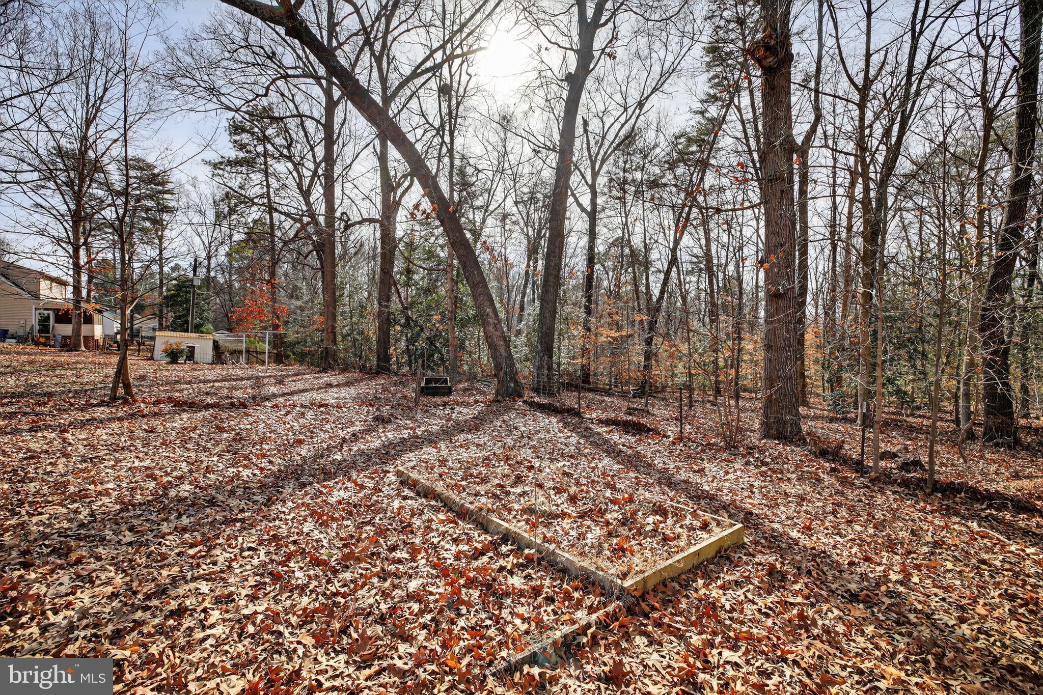 CAROLINE PINES - Residential