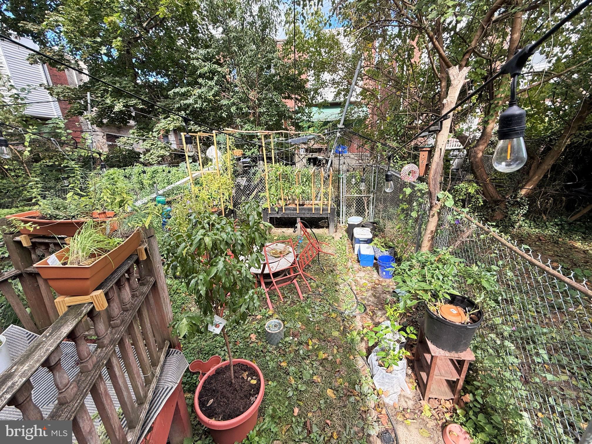 CEDAR PARK - Residential