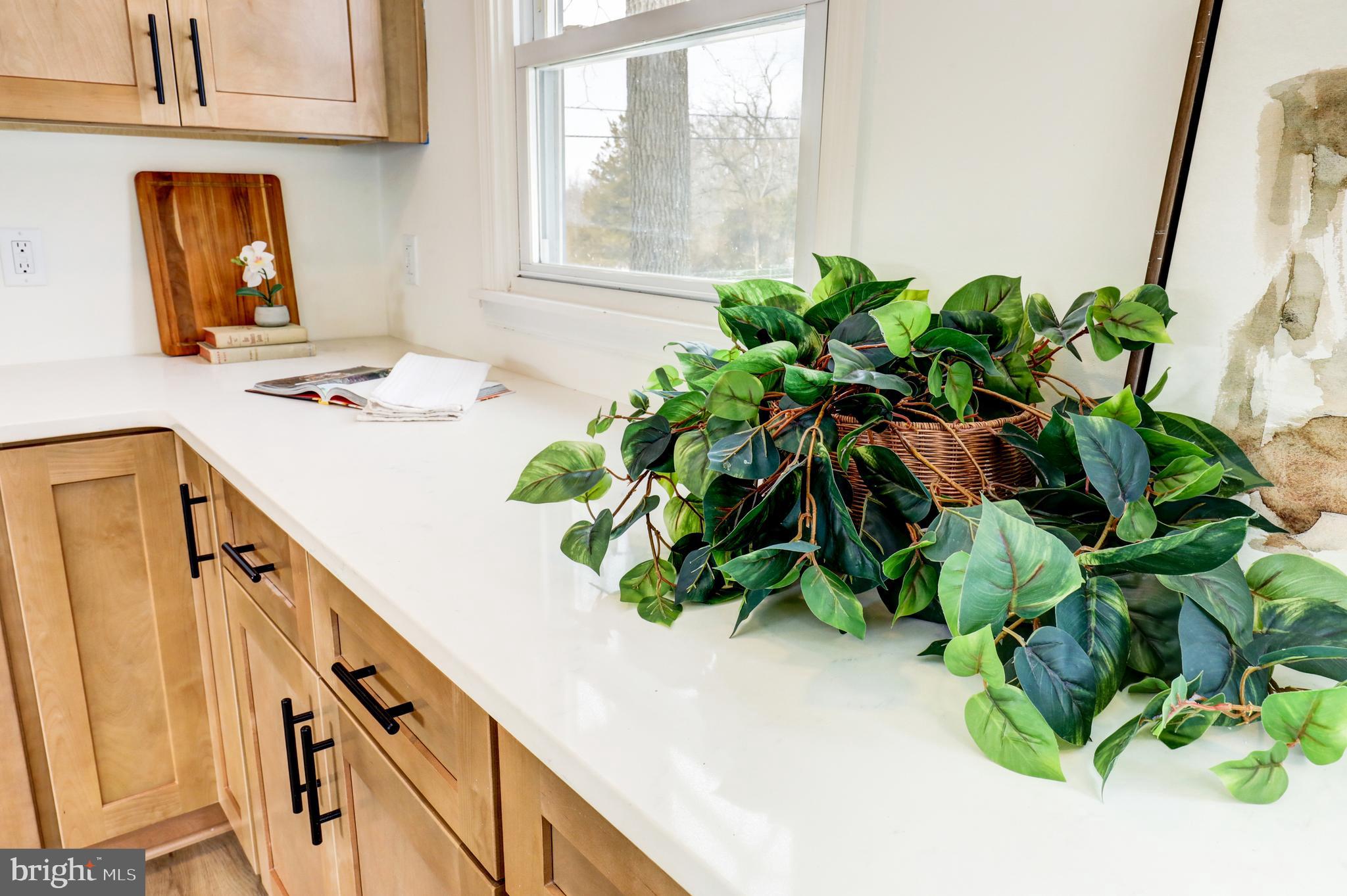 SNYDER CORNER - Residential