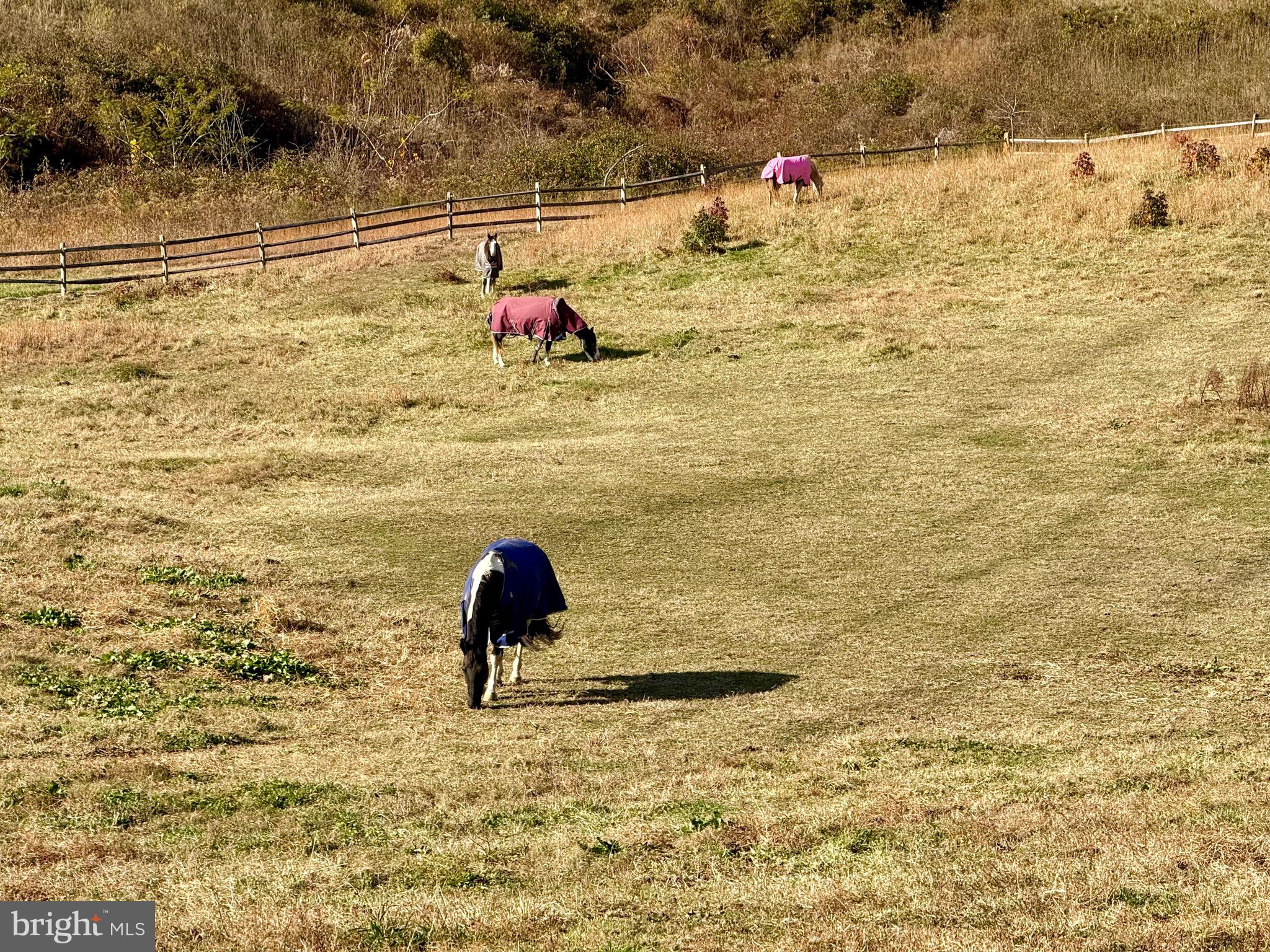 WARTHEN KNOLLS - Residential