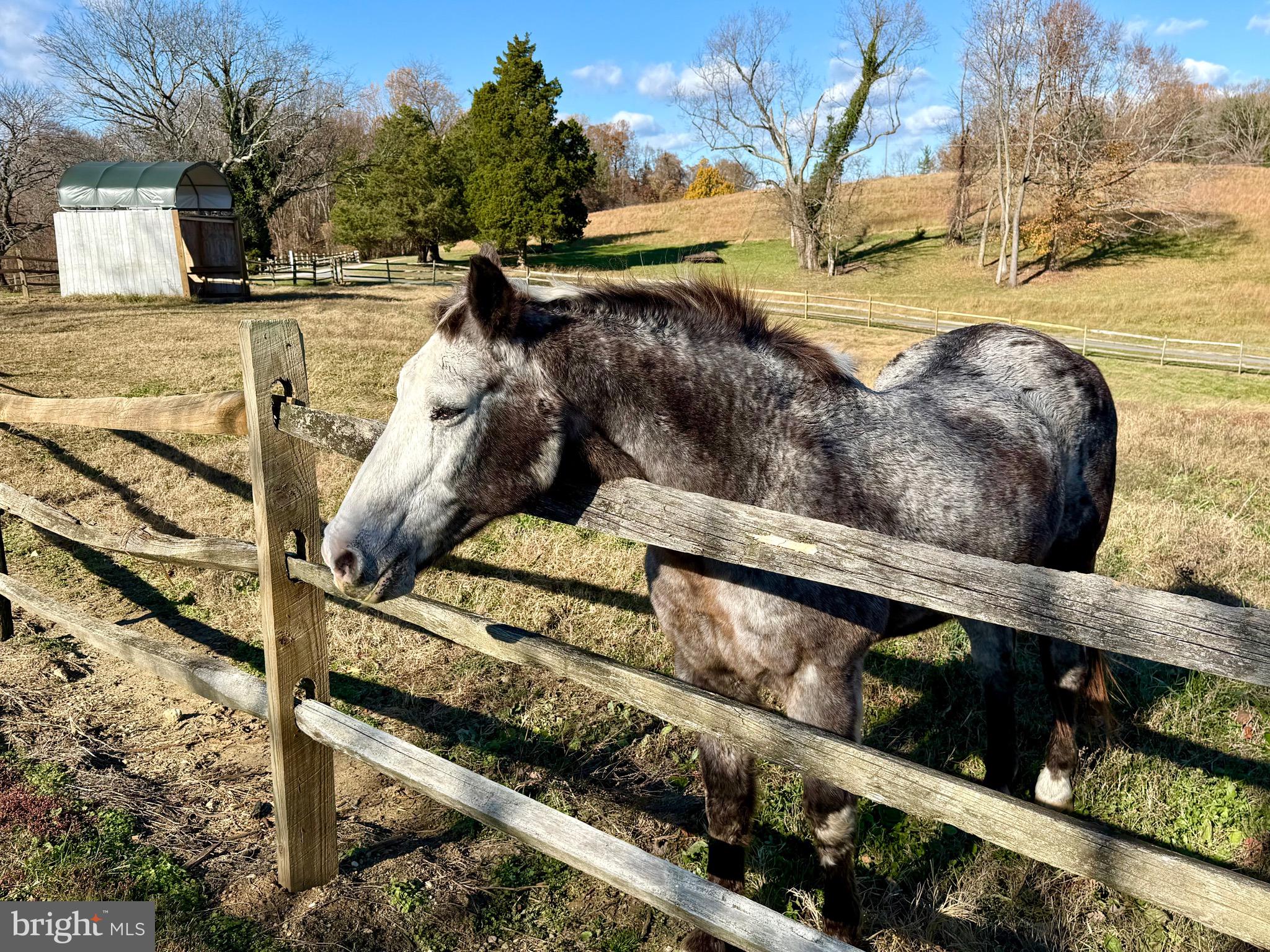 WARTHEN KNOLLS - Residential