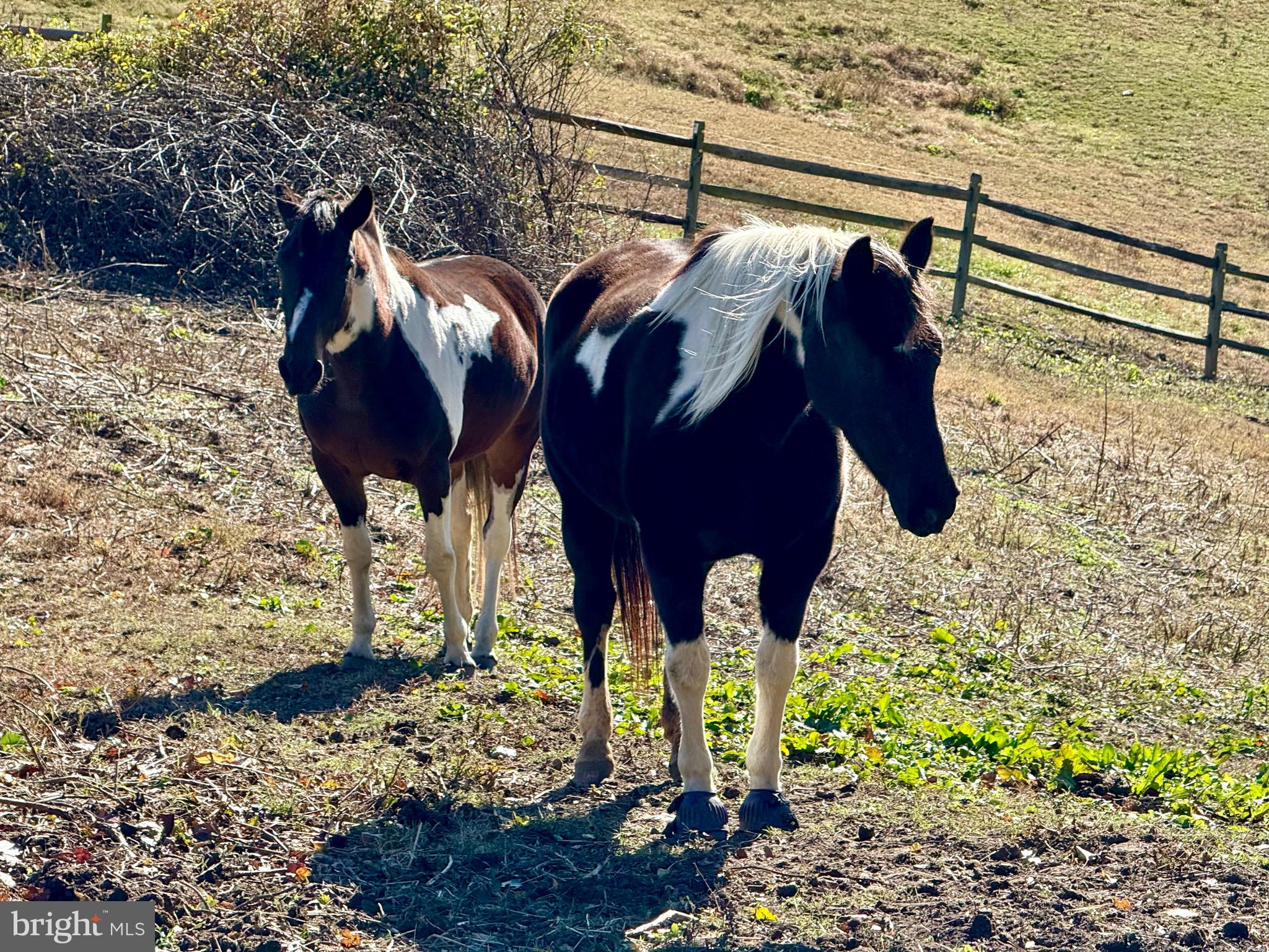 WARTHEN KNOLLS - Residential