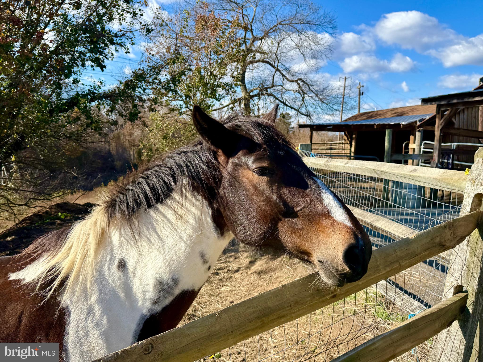 WARTHEN KNOLLS - Residential