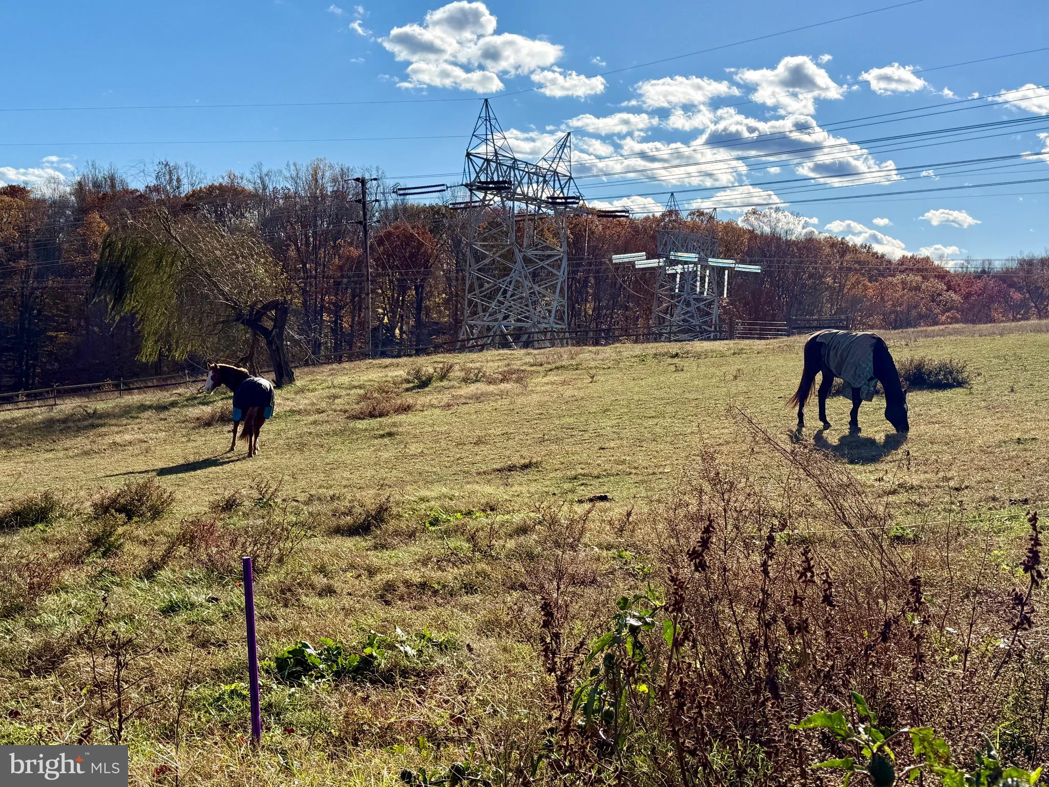 WARTHEN KNOLLS - Residential