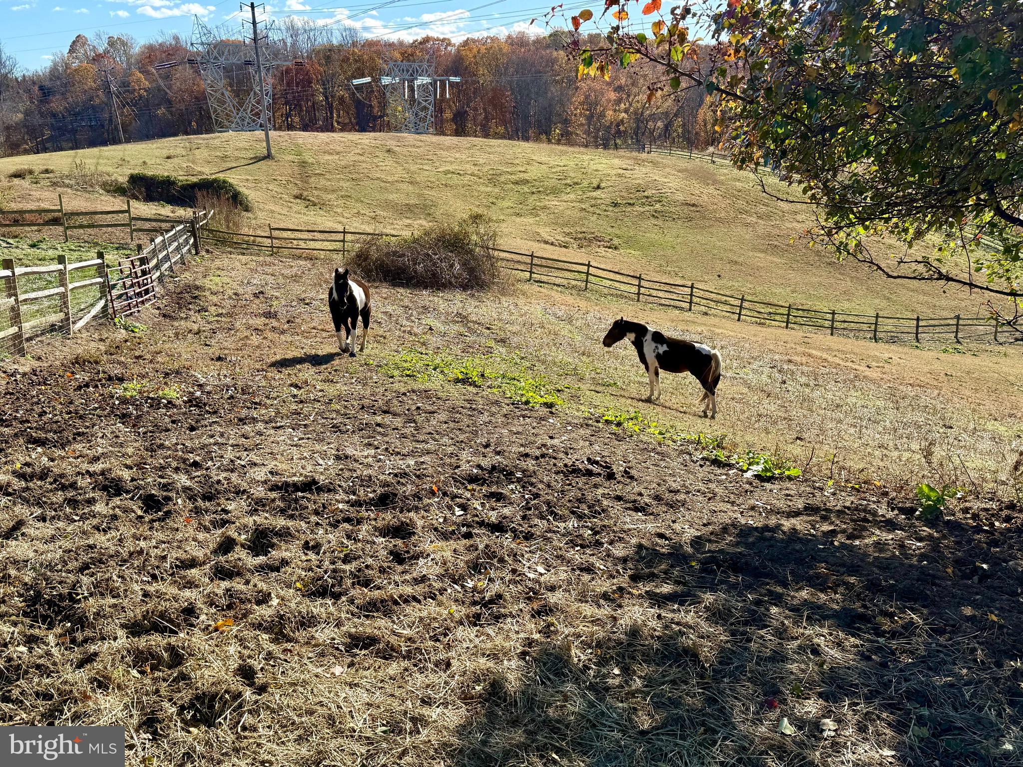 WARTHEN KNOLLS - Residential