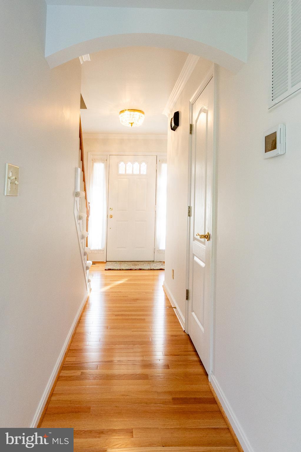 CHESTNUT RIDGE - Residential