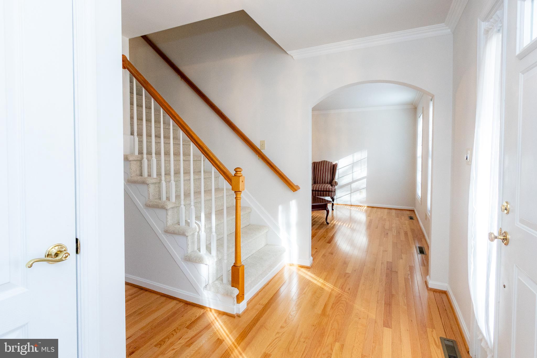 CHESTNUT RIDGE - Residential