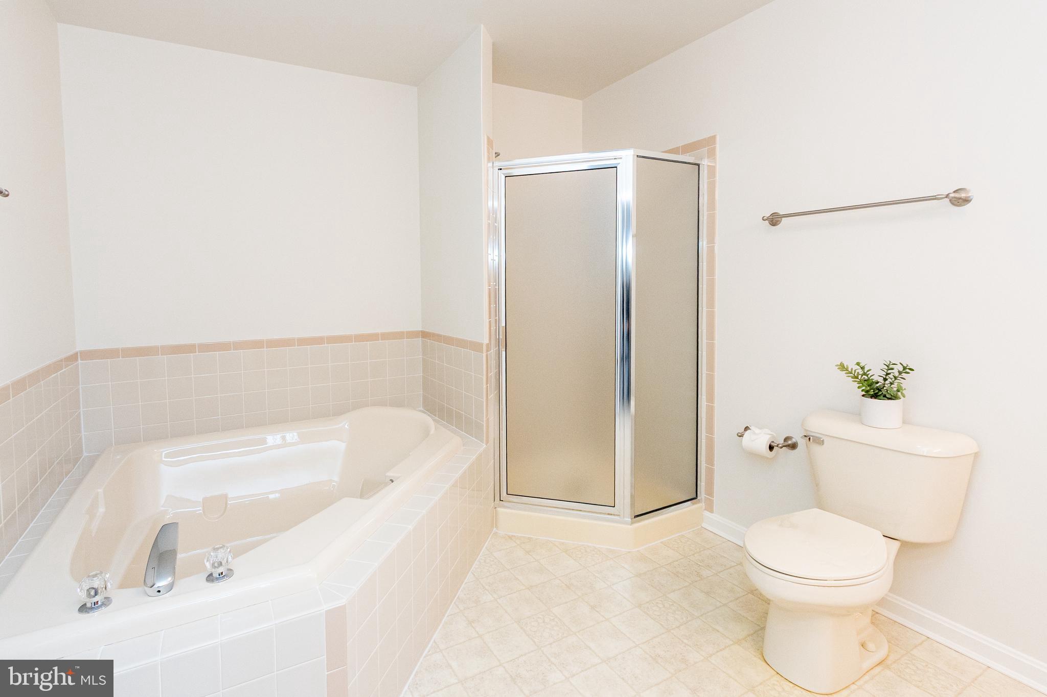 CHESTNUT RIDGE - Residential