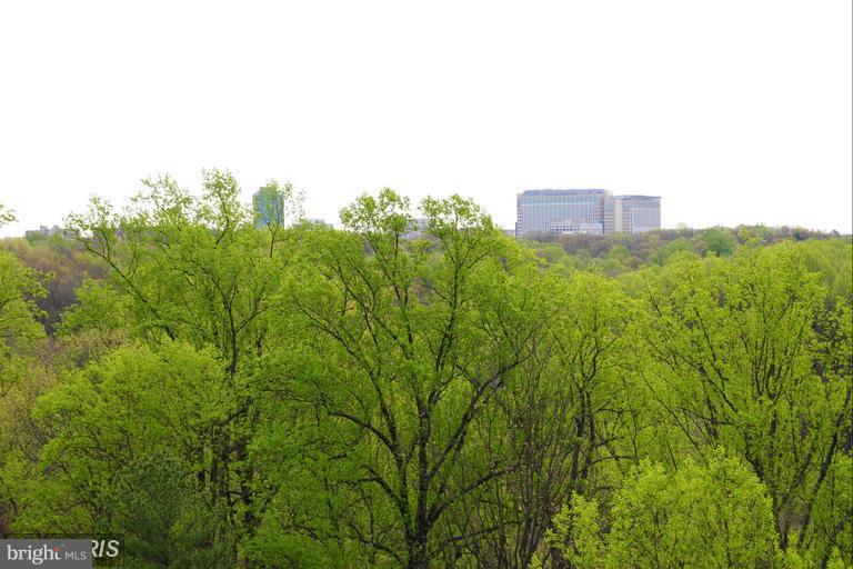 LAKESIDE PLAZA - Residential Lease