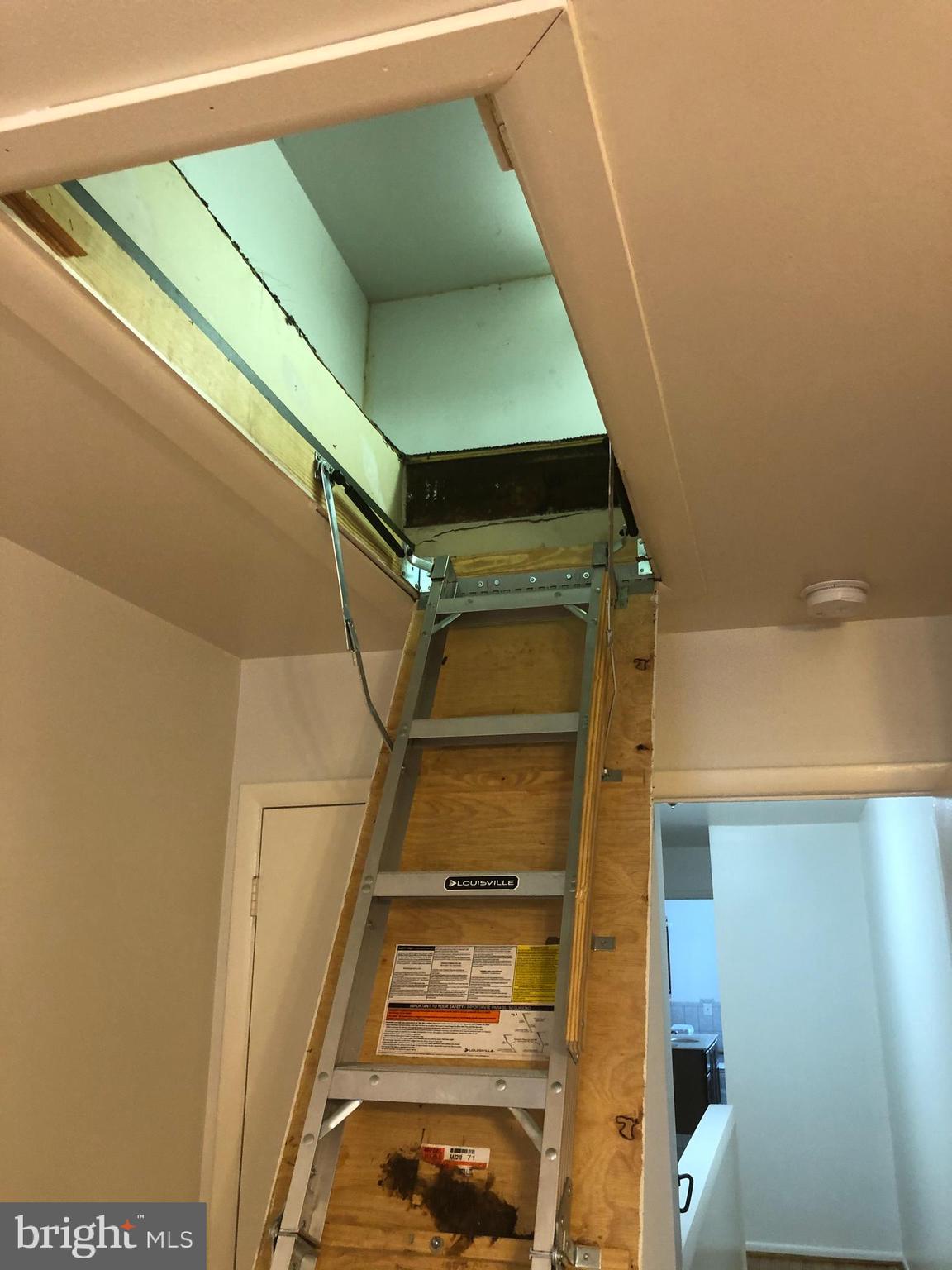 HAMPDEN HISTORIC DISTRICT - Residential Lease