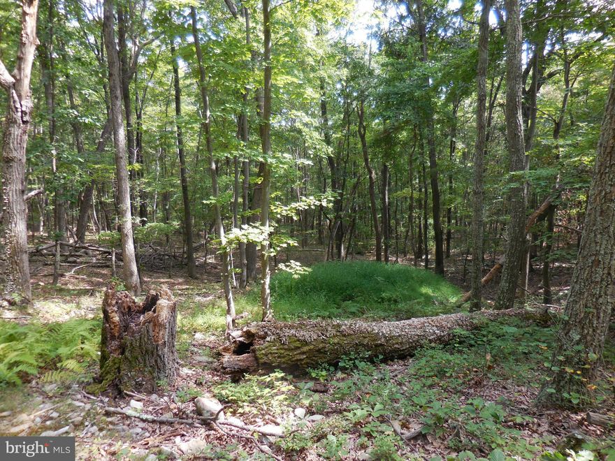 GOING GOING GONE!!! 4 ACRES ALL USABLE WITH NATURAL SPRING AMONG OLD TOWERING HARDWOODS. LOCATED NEXT TO 8,000 ACRES OF PUBLIC HUNTING LAND "SHORT MOUNTAIN" EXISTING ROAD LEADING TO SMALL CLEARING GREAT FOR CAMPER. ELECTRIC NEARBY ALONG S/D ROAD. GREAT DEAL FOR A GREAT PROPERTY DON'T WAIT!!!!