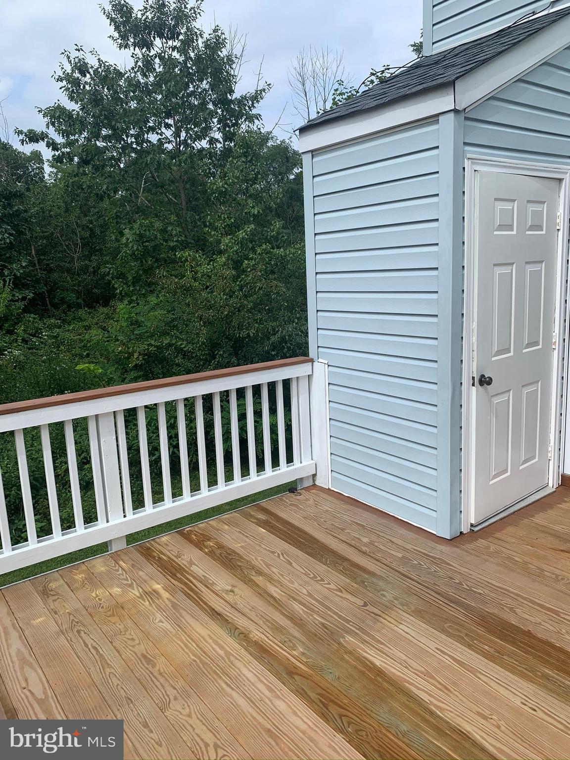 CARLISLE HEIGHTS - Residential Lease