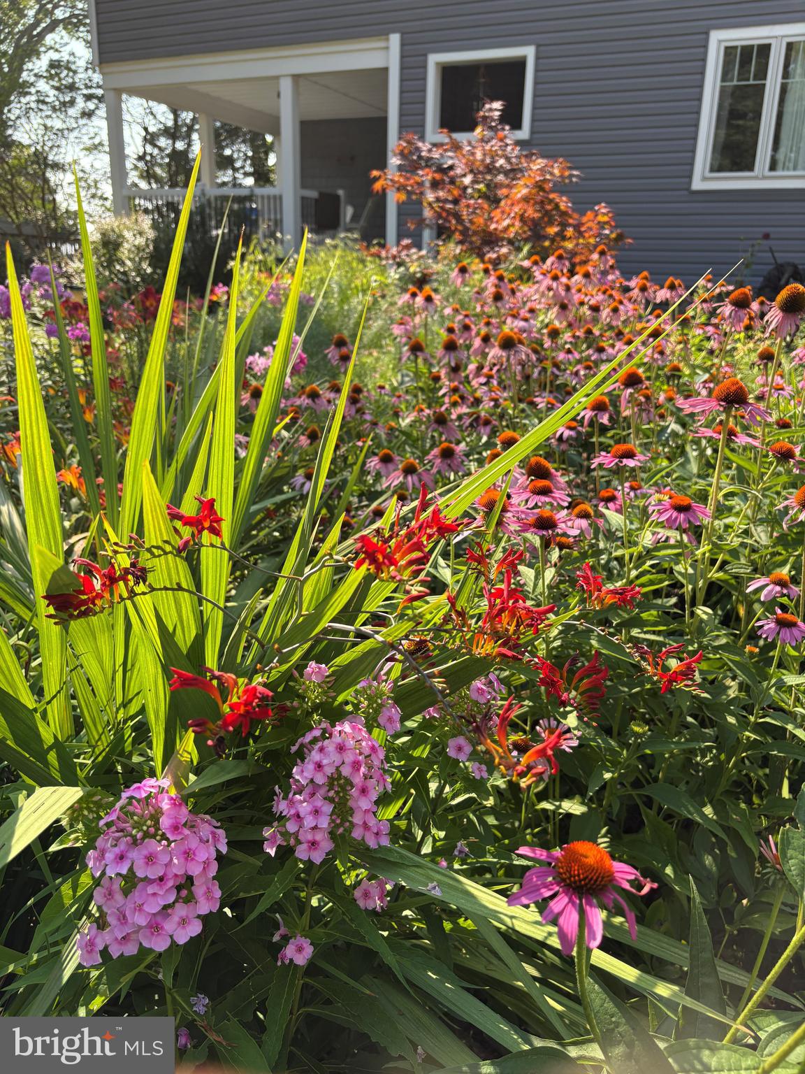 BEACH HAVEN - Residential