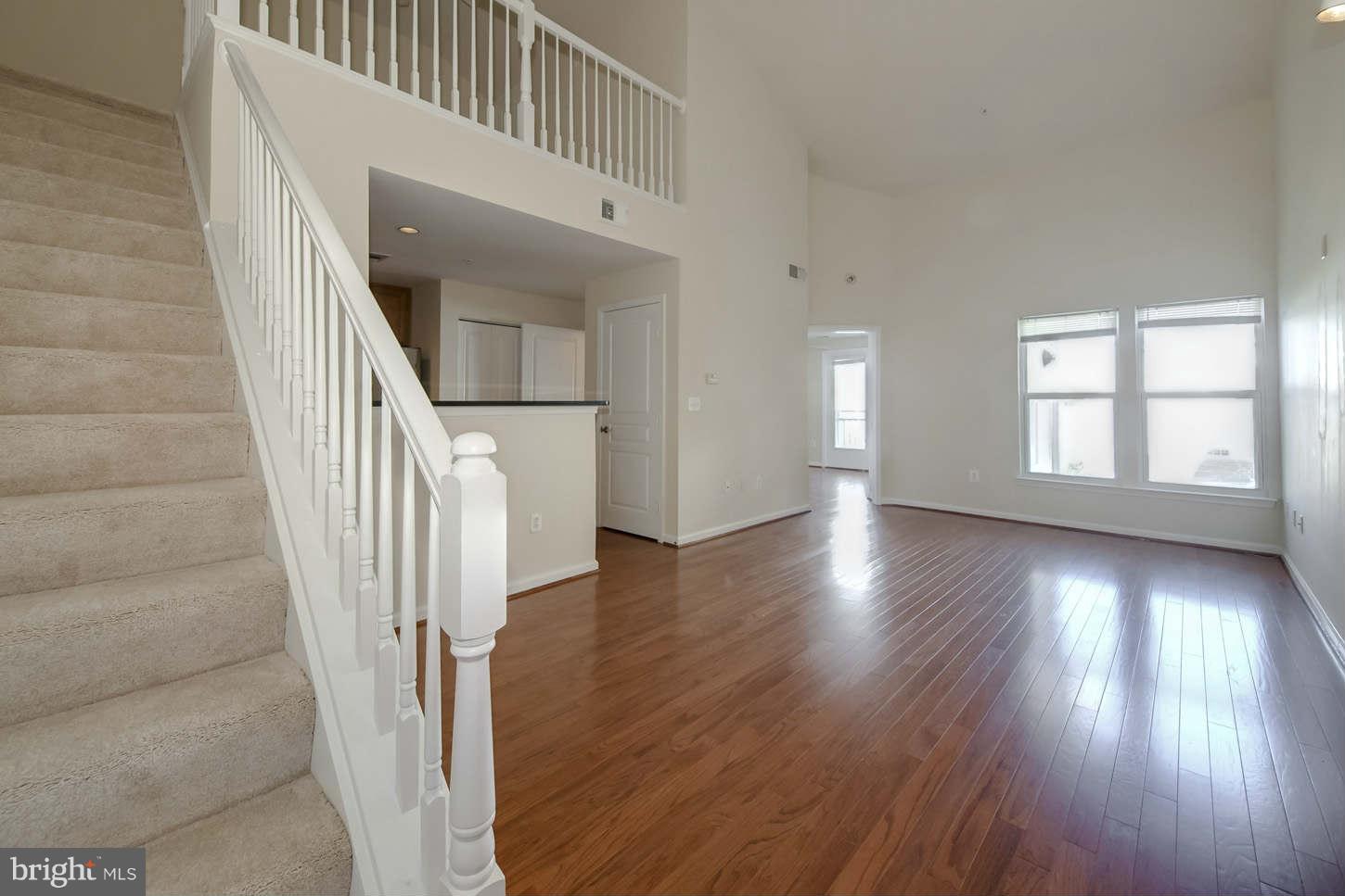 SAVOY AT RESTON TOWN CENTER - Residential