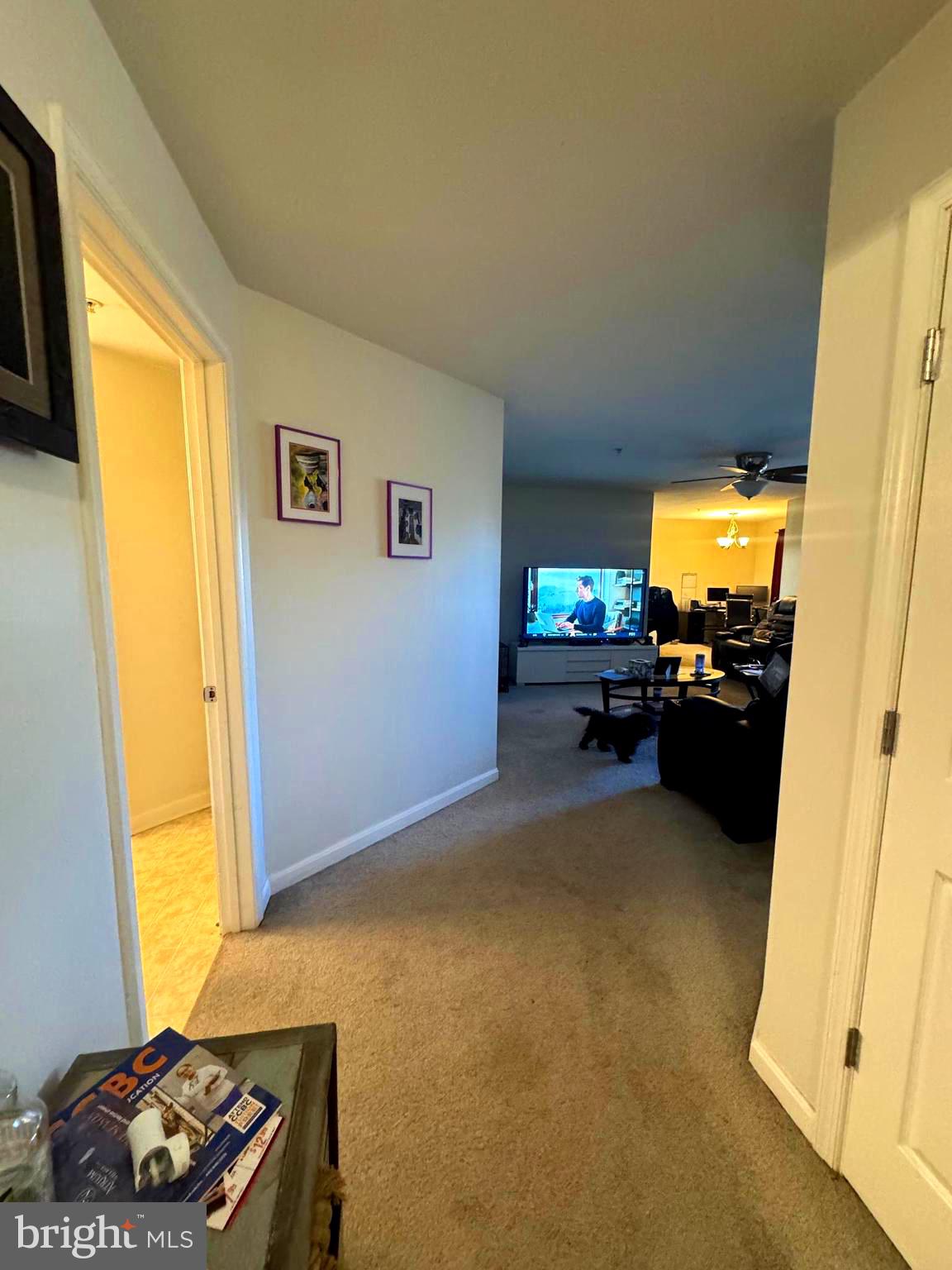 8801 STONE RIDGE CIRCLE T-2