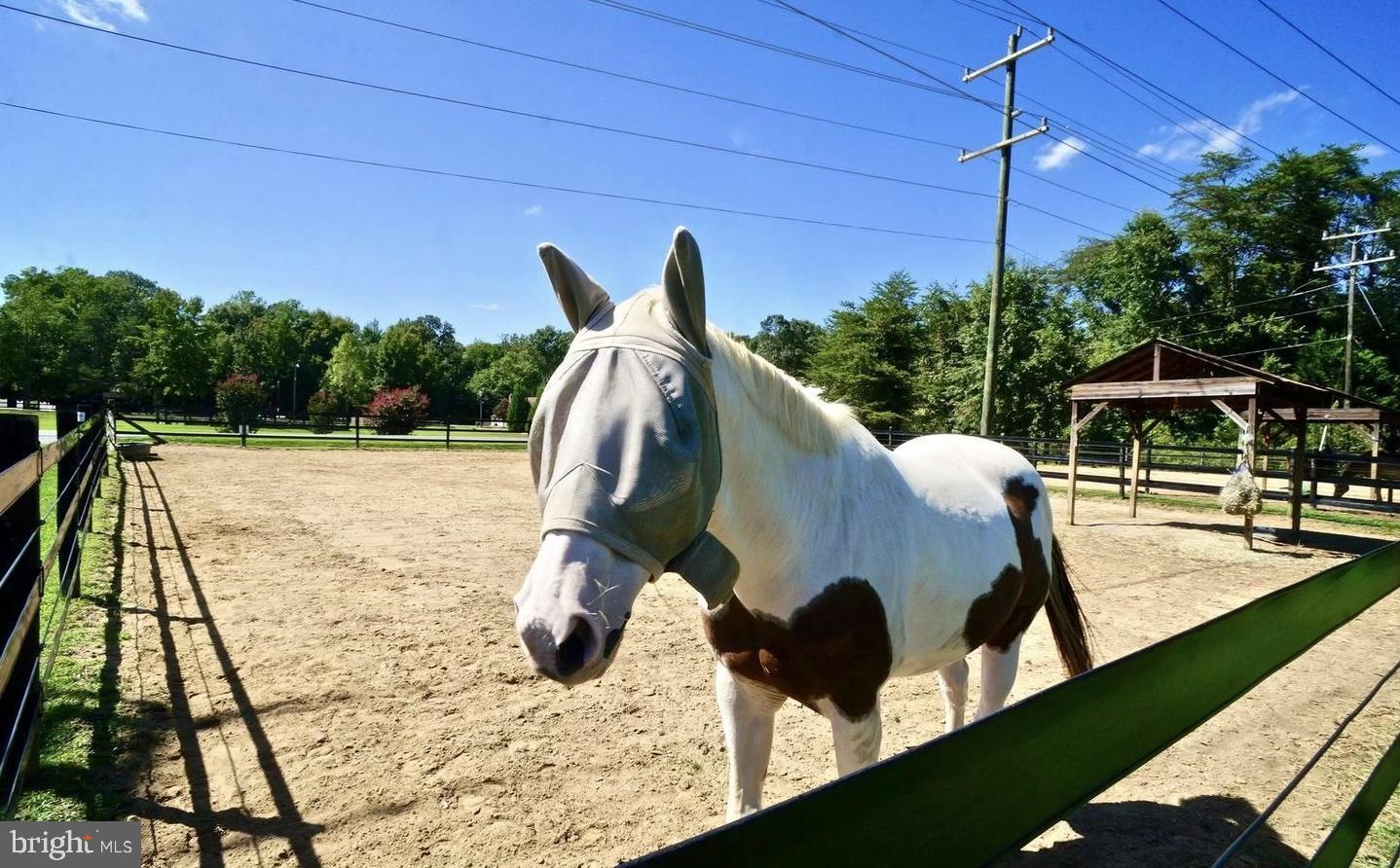 AQUIA HARBOUR - Residential