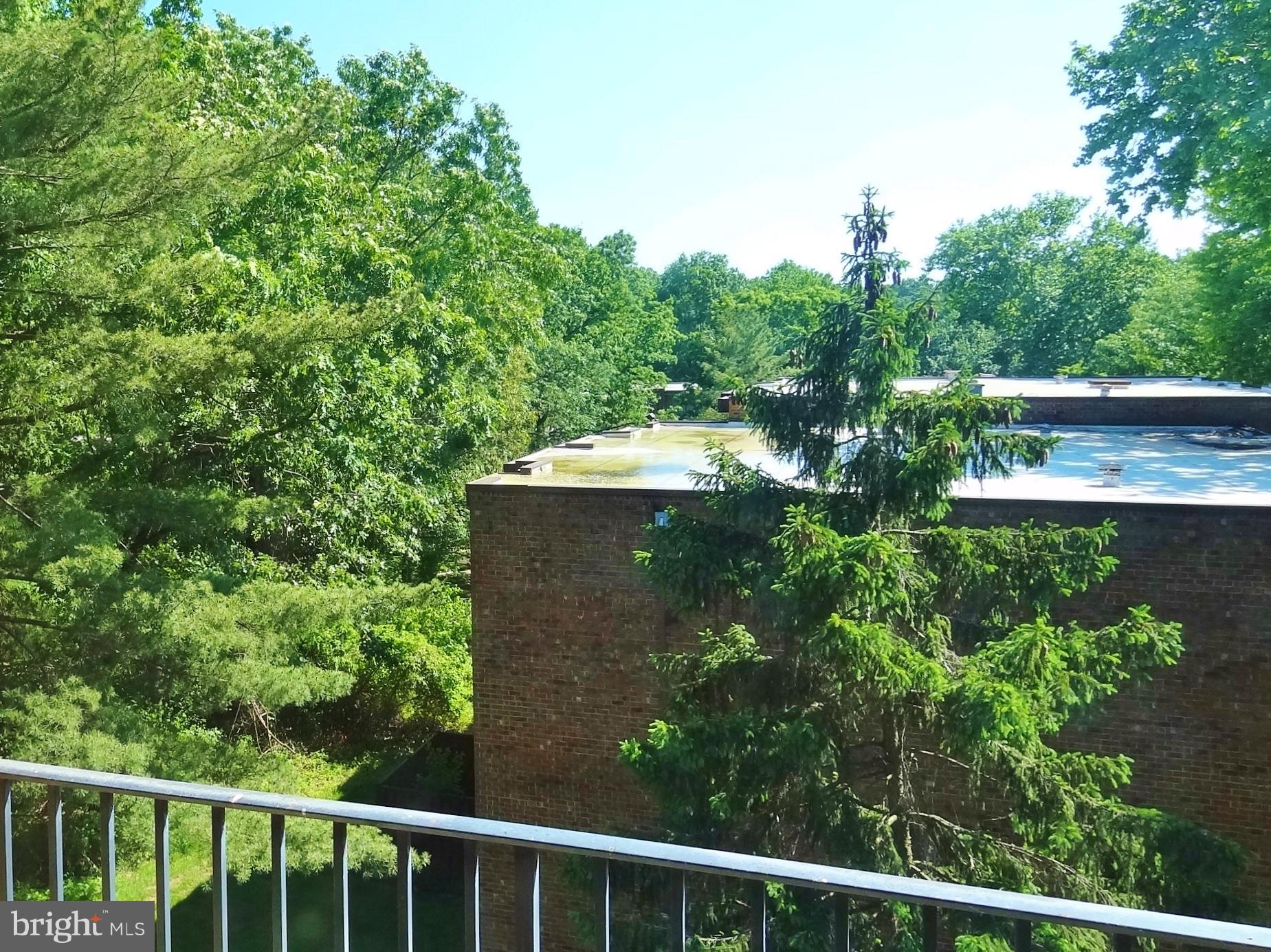 CHELSEA WOODS CONDO - Residential