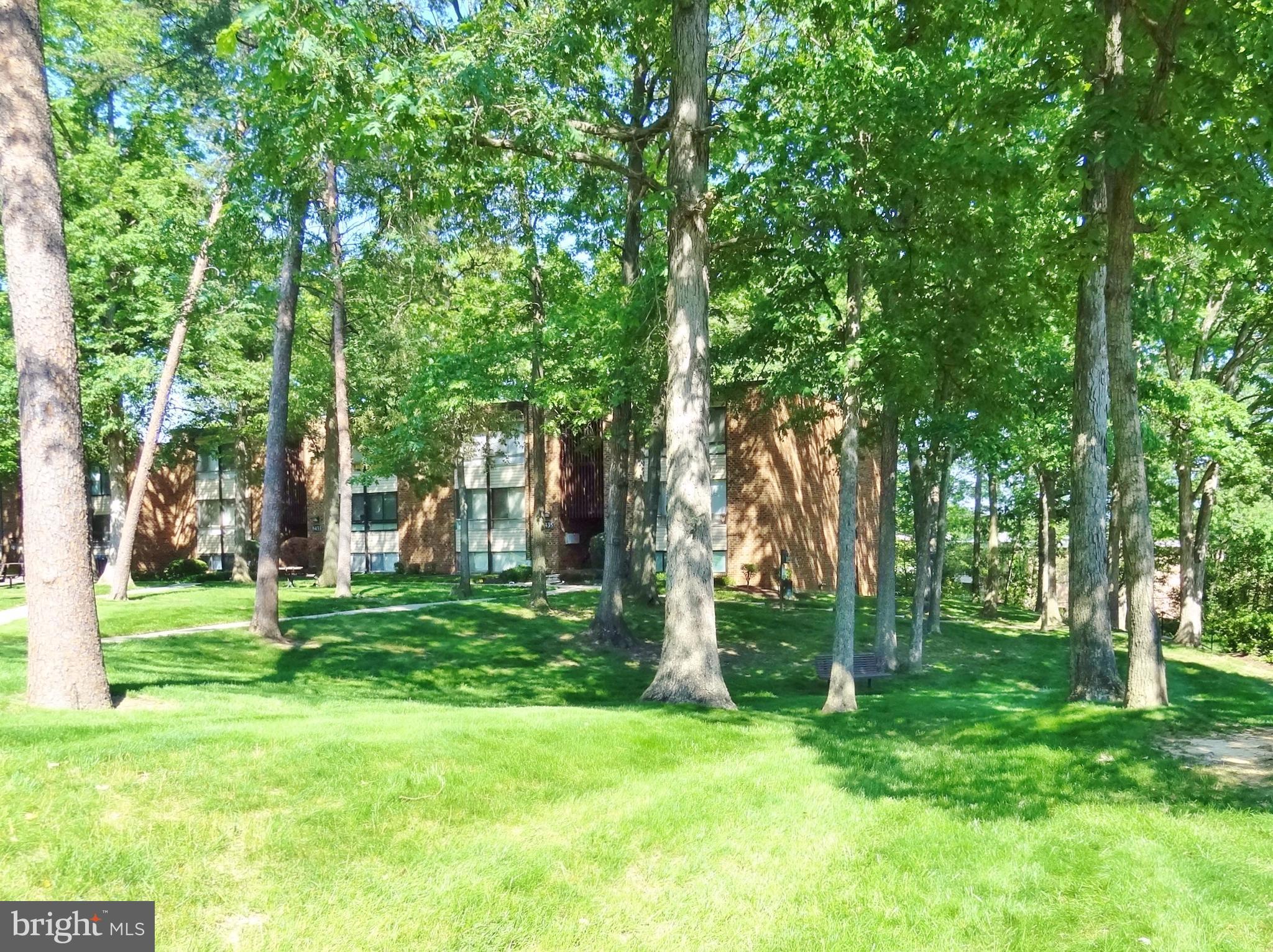 CHELSEA WOODS CONDO - Residential