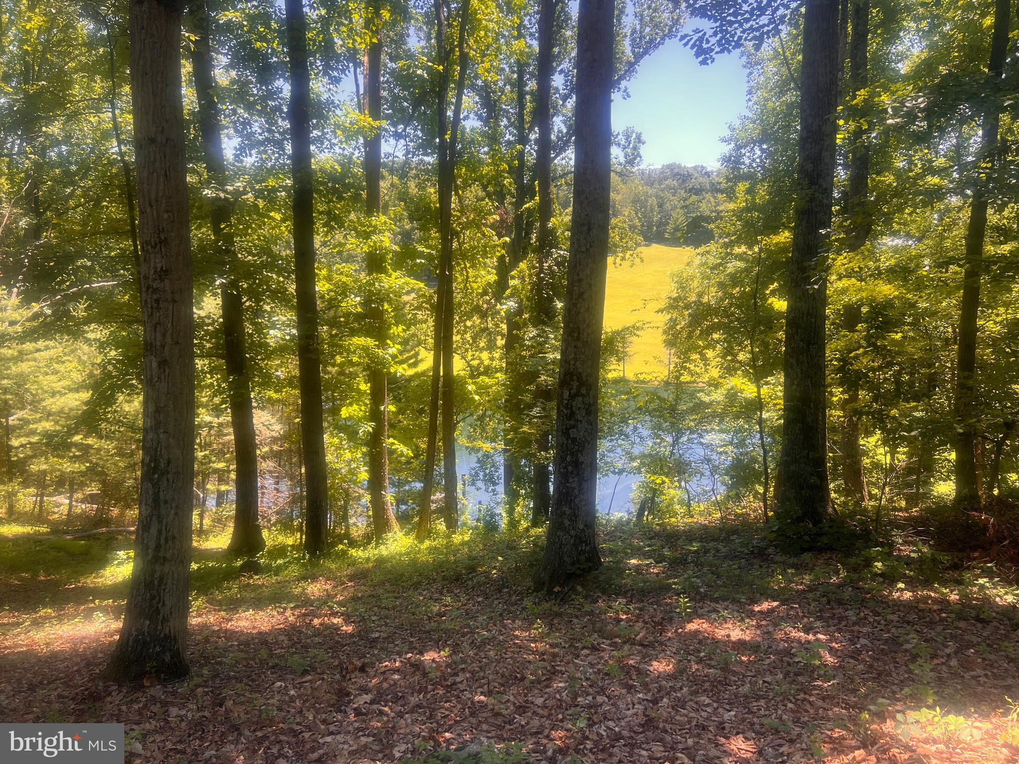 10001 WOODSBORO ROAD