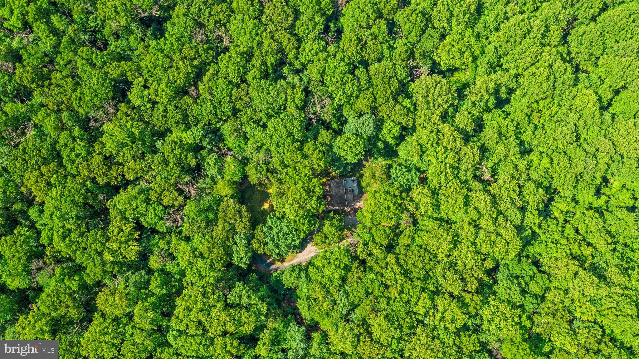 ANSCROFT - Residential