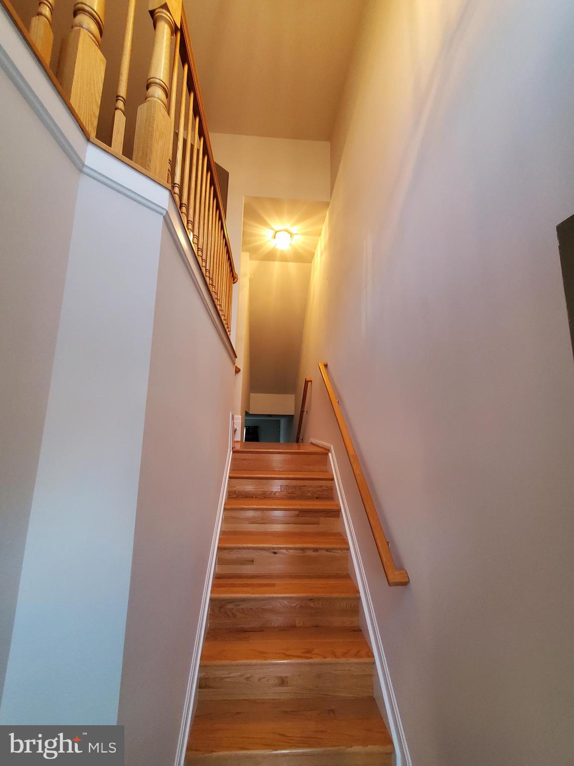 ST CHARLES SUB - SHEFFIELD - Residential Lease