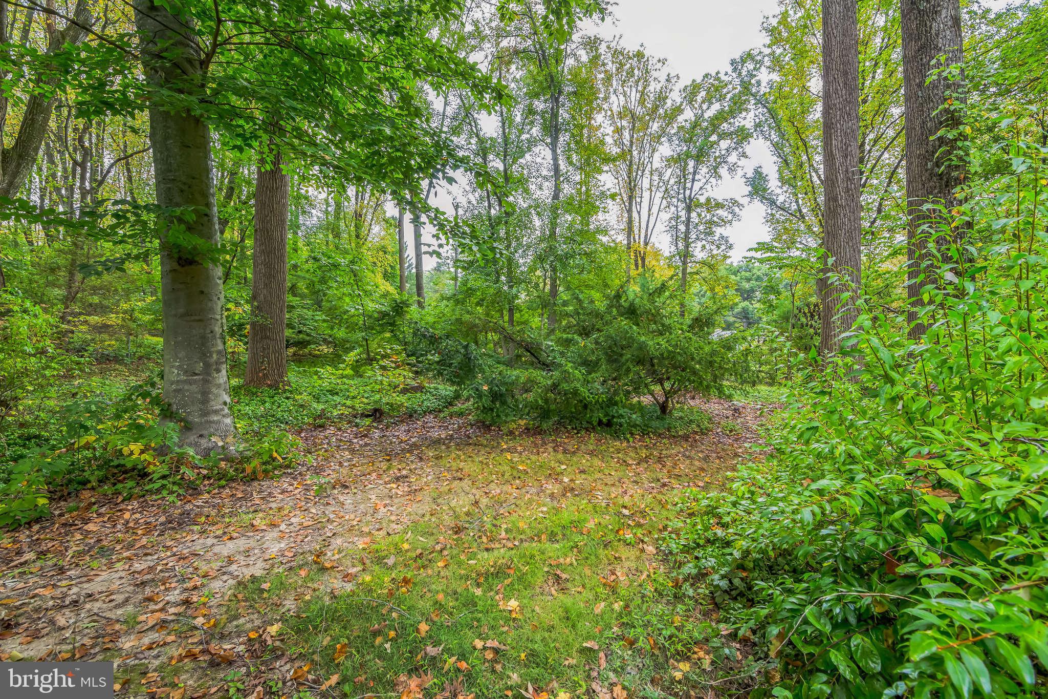 WHITFORD HILLS - Residential