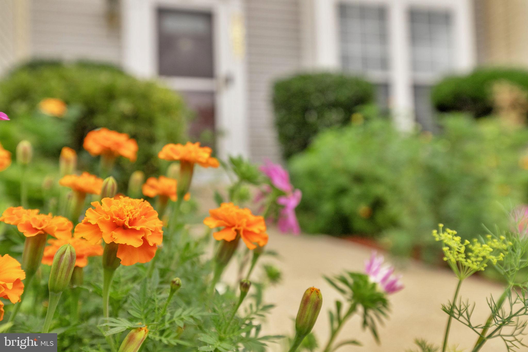 WILLOW BROOK - Residential