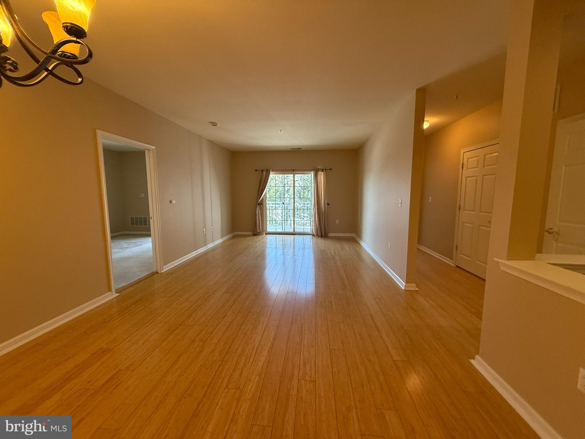 224 BREEDERS CUP DRIVE