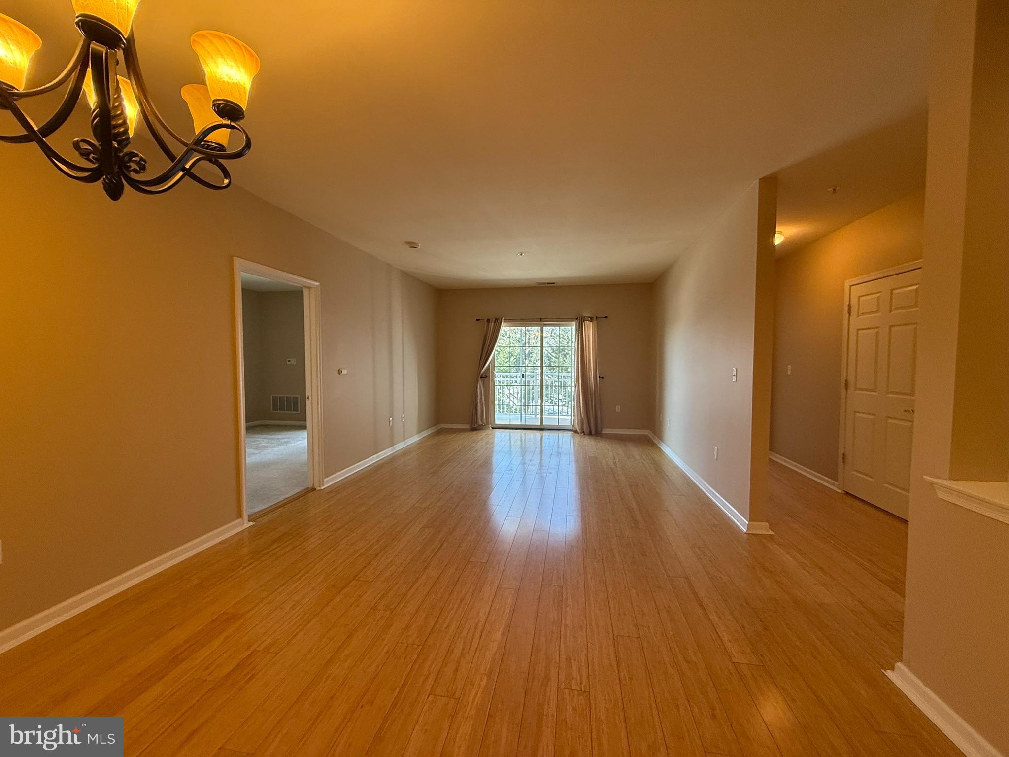 224 BREEDERS CUP DRIVE