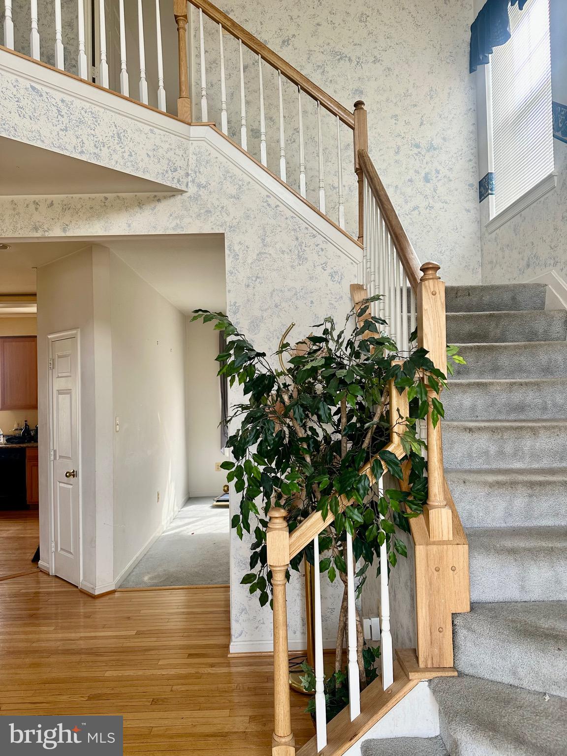 11701 THRASHER COURT