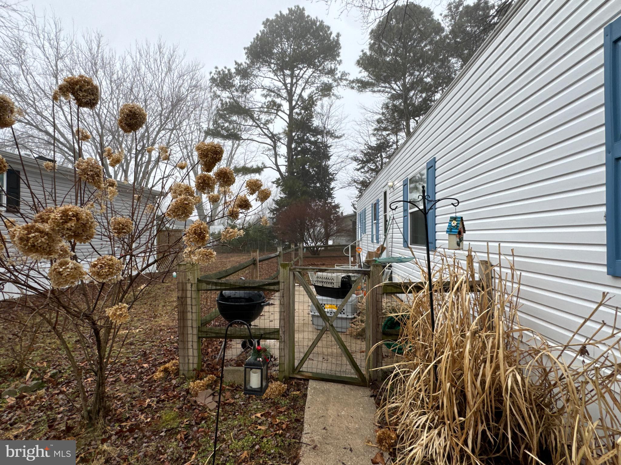 33515 BUTTERCUP STREET