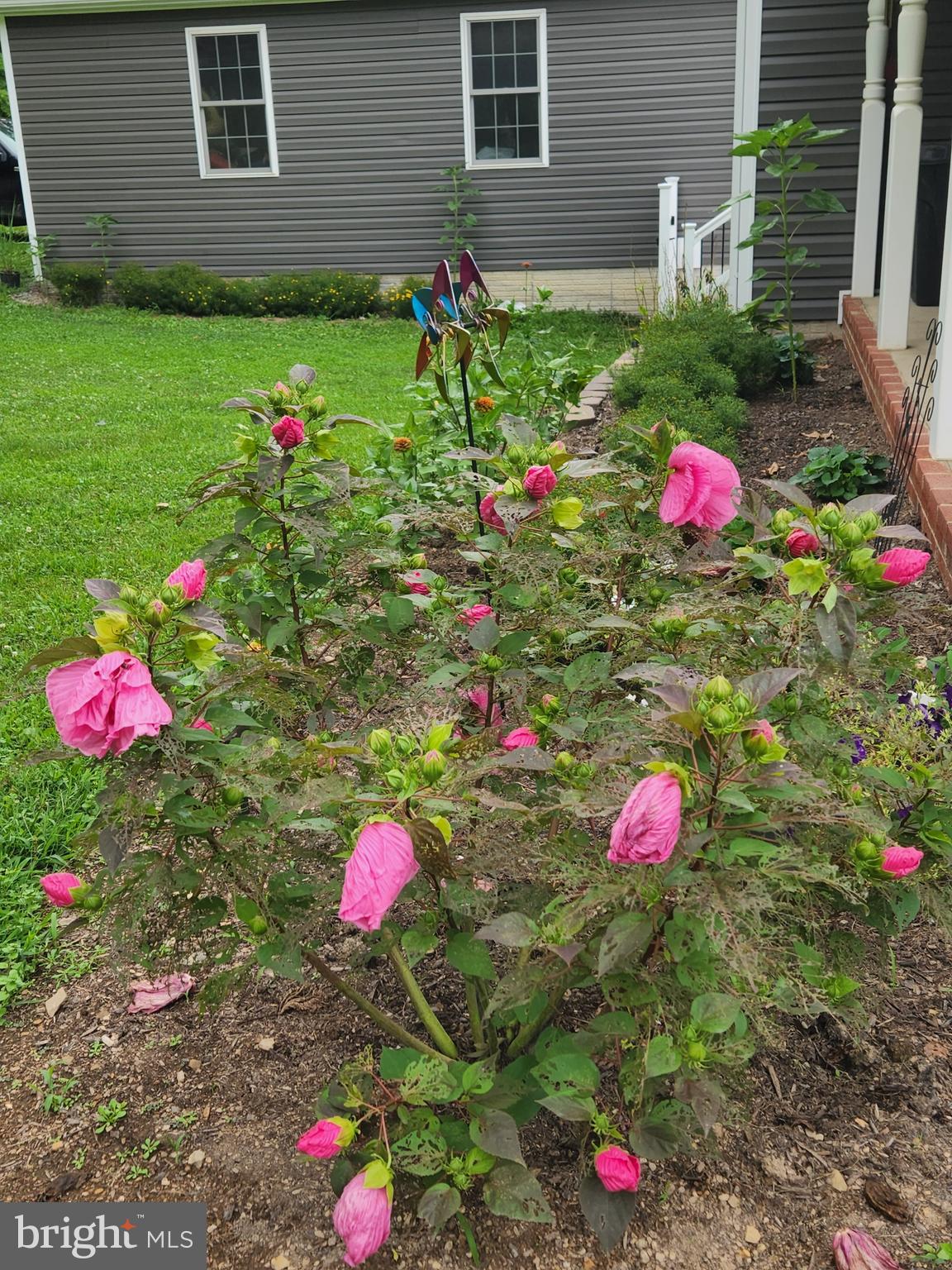 PINE RIDGE - Residential