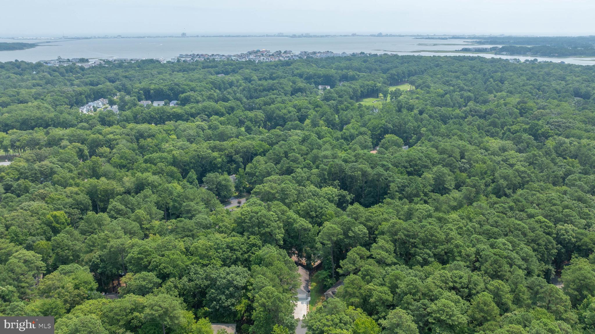 OCEAN PINES - PINEHURST - Residential