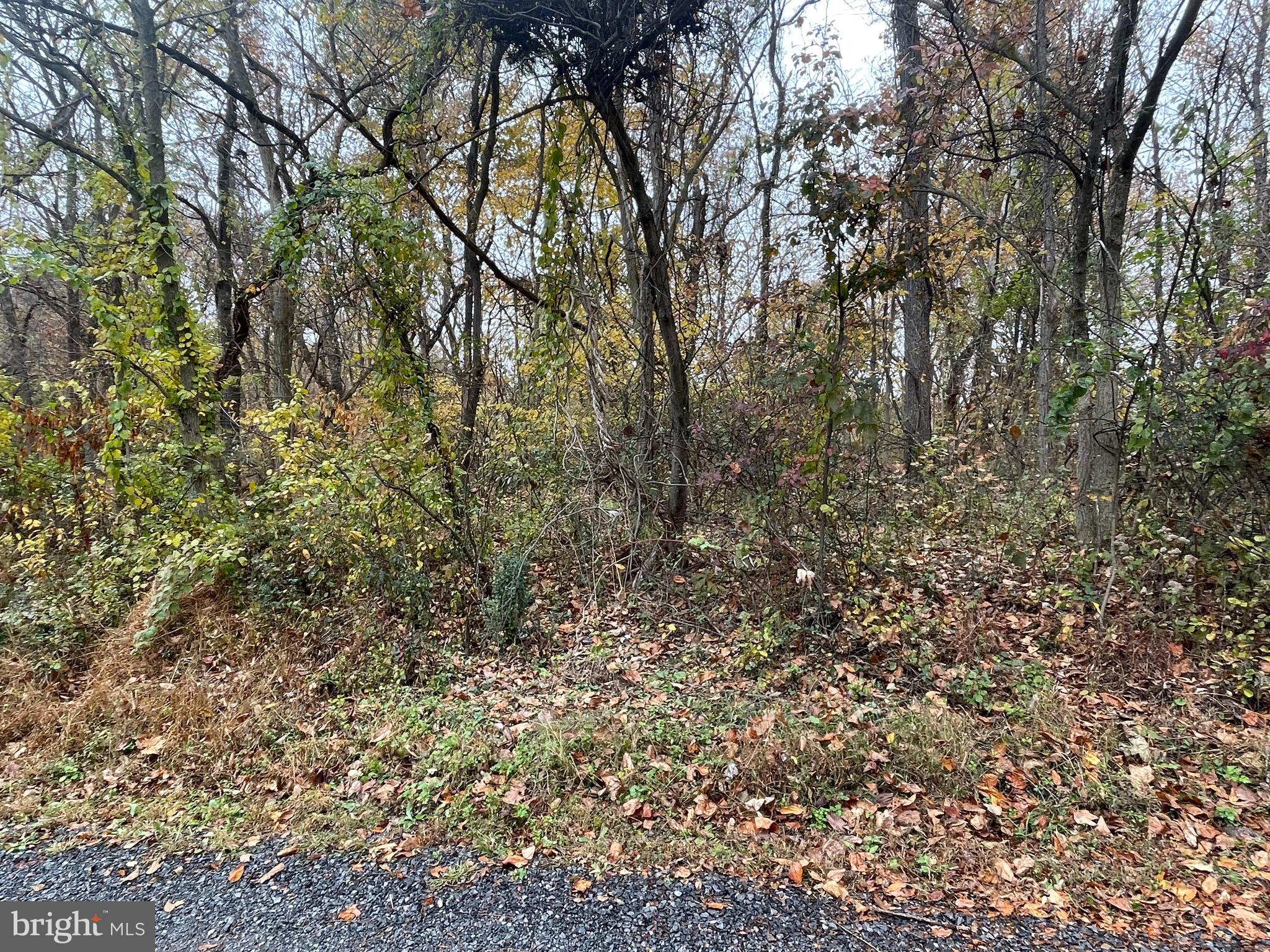 Raw land in the Potomac Park community, close to the Potomac River.