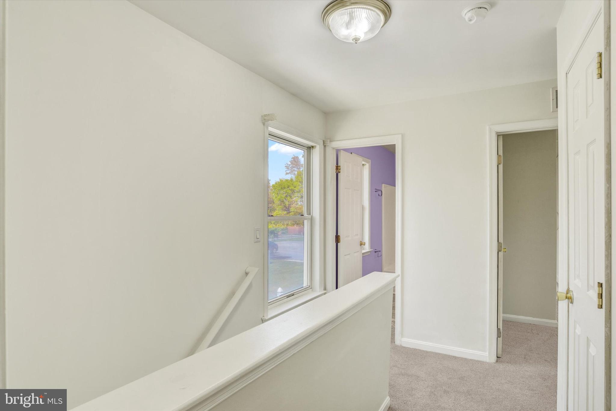 CHESTNUT TOWNHOUSES - Residential