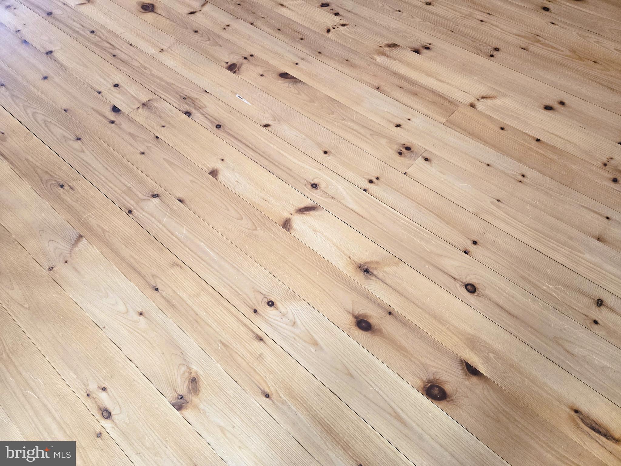 SLAUGHTER BEACH - Residential