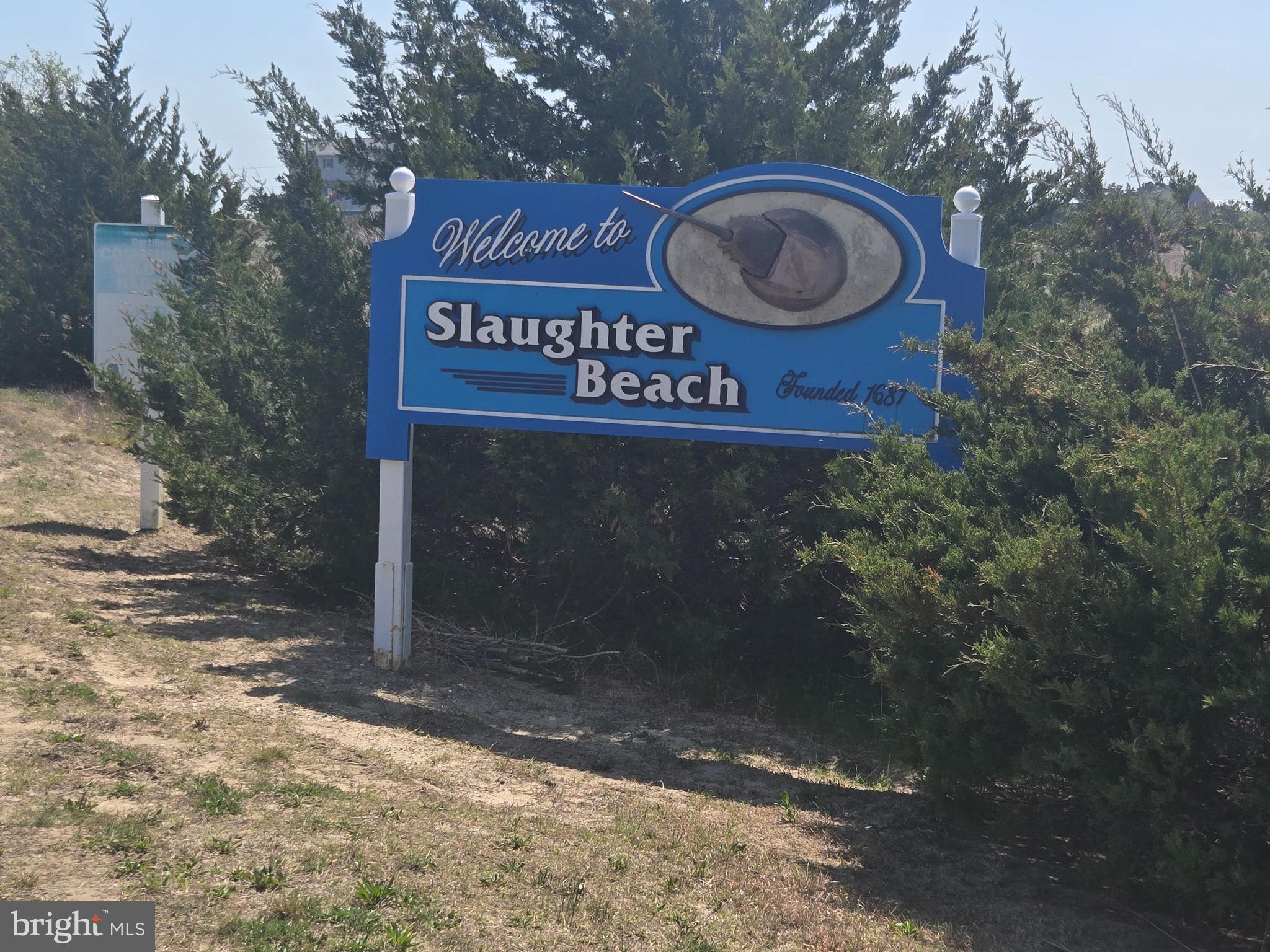 SLAUGHTER BEACH - Residential