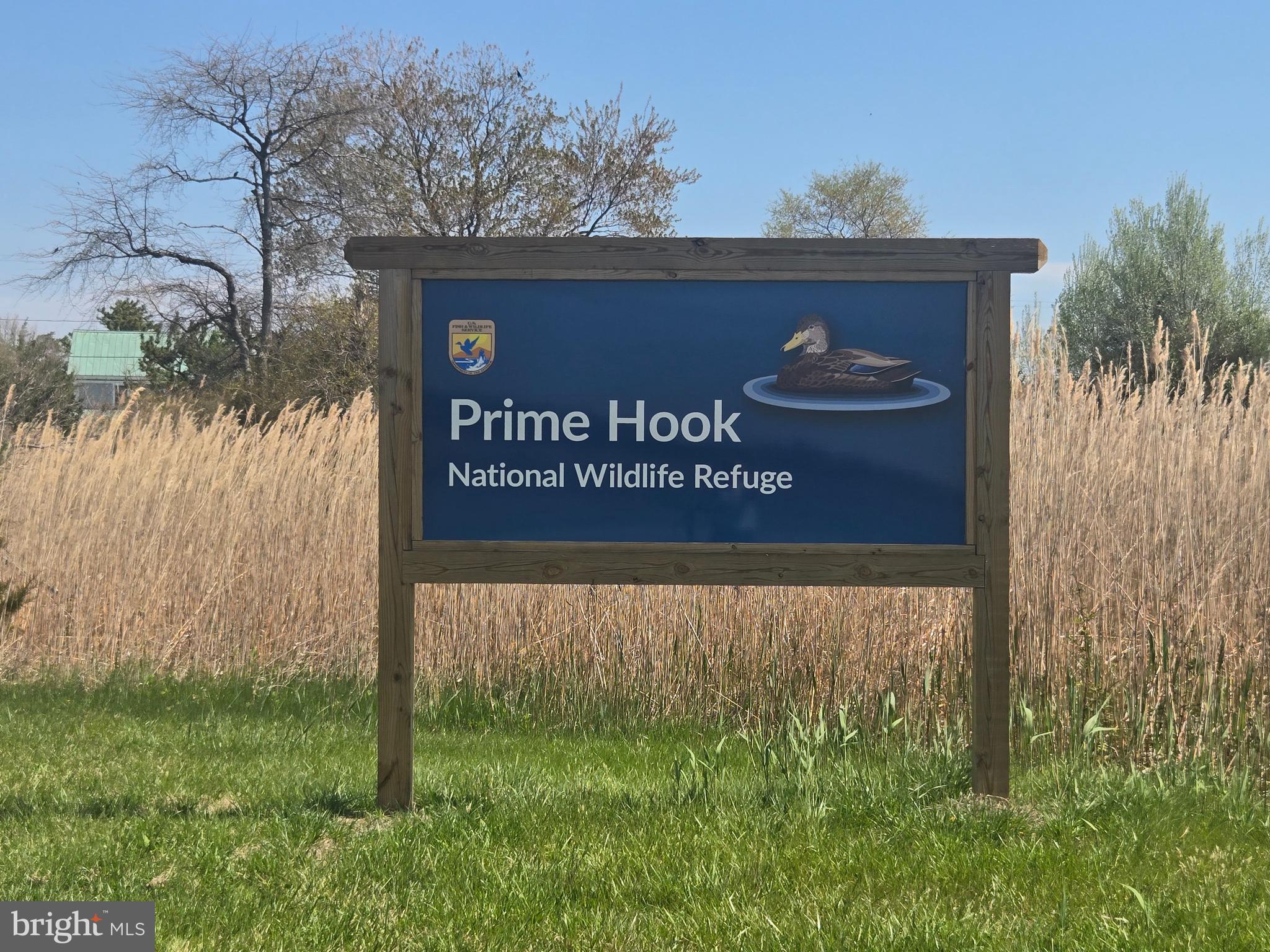 SLAUGHTER BEACH - Residential