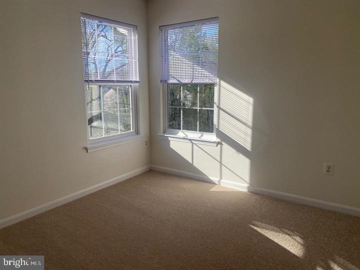 SARATOGA HUNT - Residential Lease